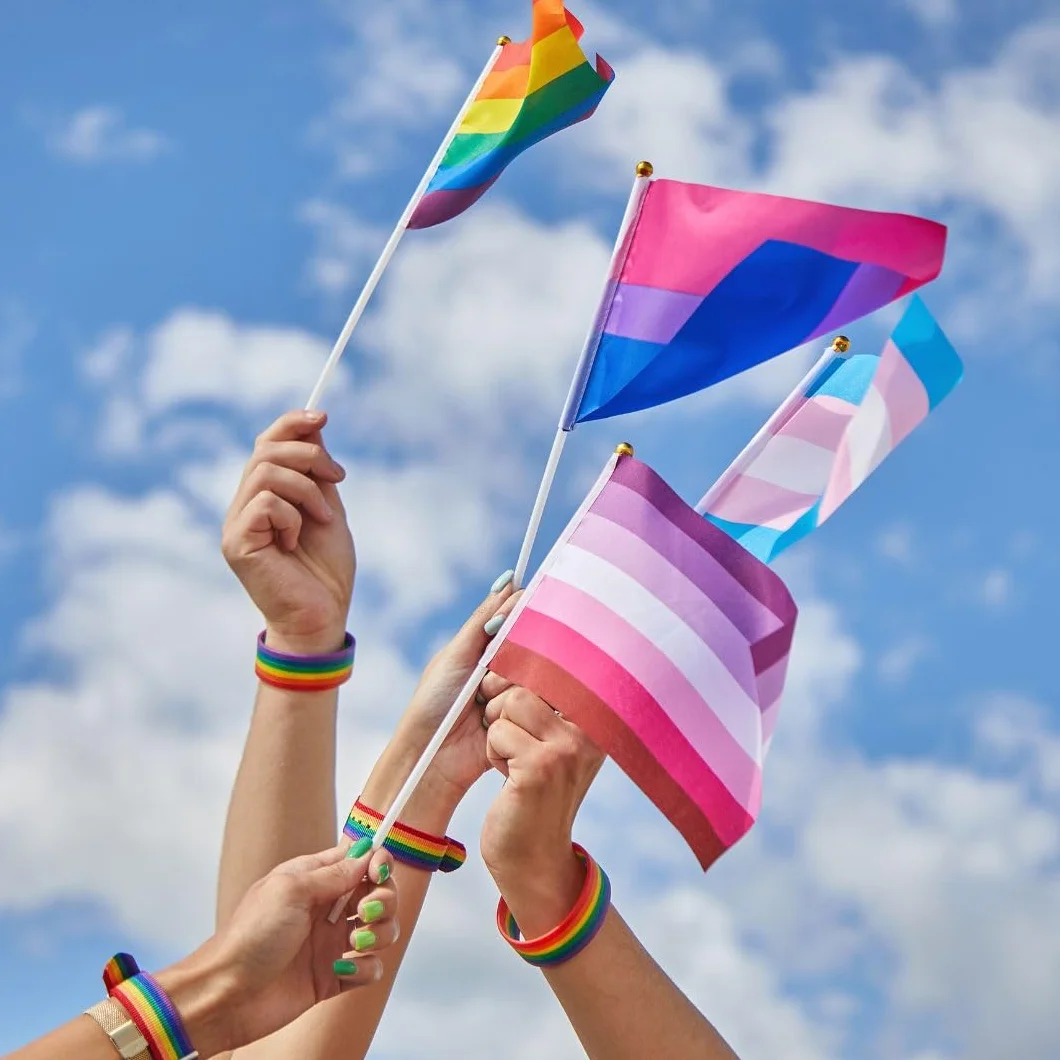 Runesol 12 sztuk ręcznych flag transpłciowych, 14 cm x 21 cm, mini flagi LGBTQ, małe flagi na patykach, dekoracje imprezowe LGBT na patyku, LGBTQ+, wydarzenia, uroczystości, dekoracje dumy trans