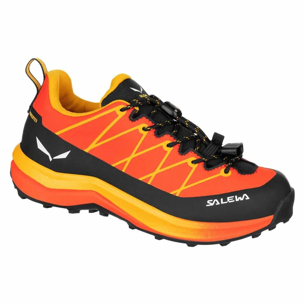 Salewa Uniseks - dzieci Wildfire 2 Ptx KAdidasy