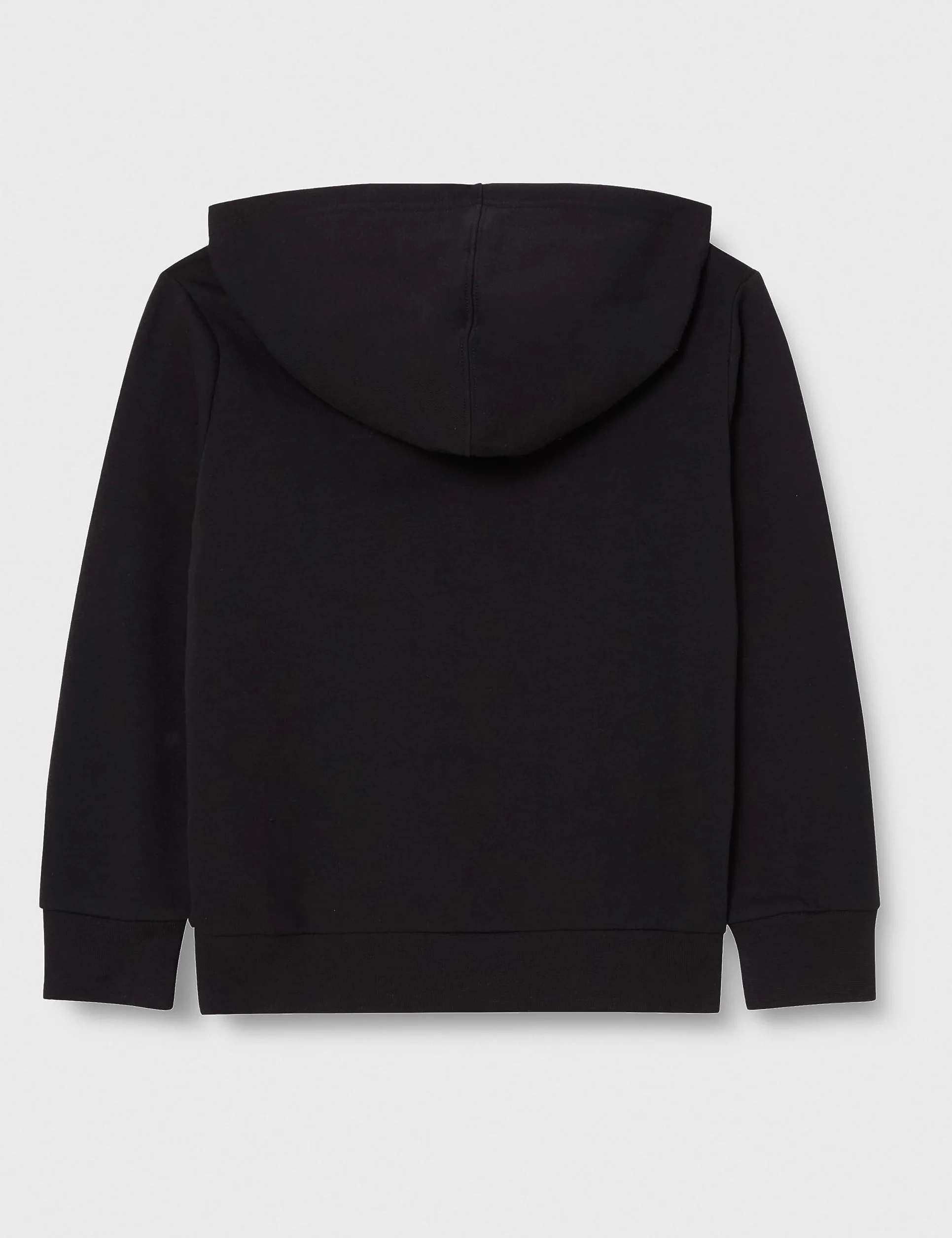Champion Bluza z kapturem dzieci i młodzież Legacy Champion Basics B - Ultralight Powerblend Fleece