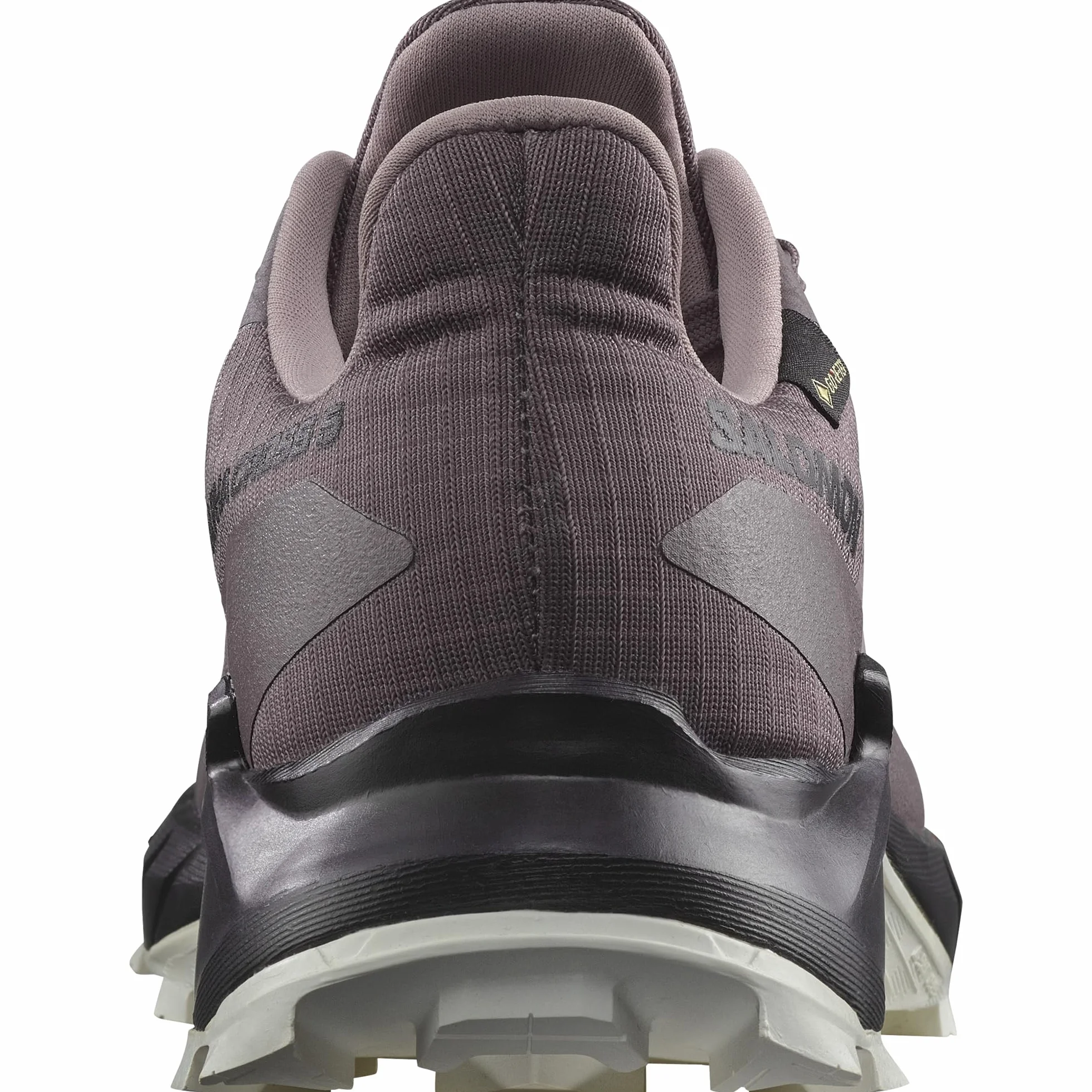 Salomon Kobiety Alphacross 5 Gore-texButy trekkingowe