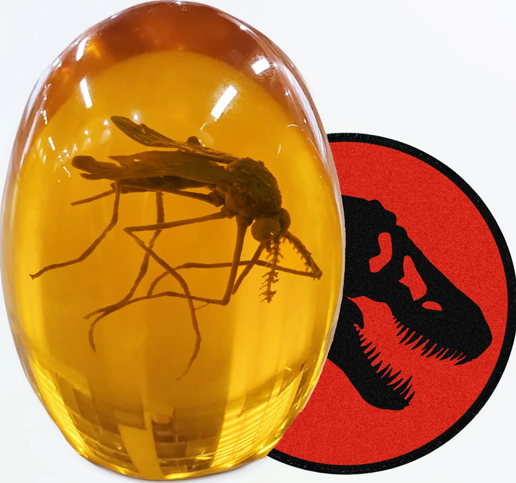VEOJEIN Komar jurajski 3D - komar w bursztynie - realistyczna kolekcja jurajska - płaski przycisk do papieru z żywicy - DNA dinozaura