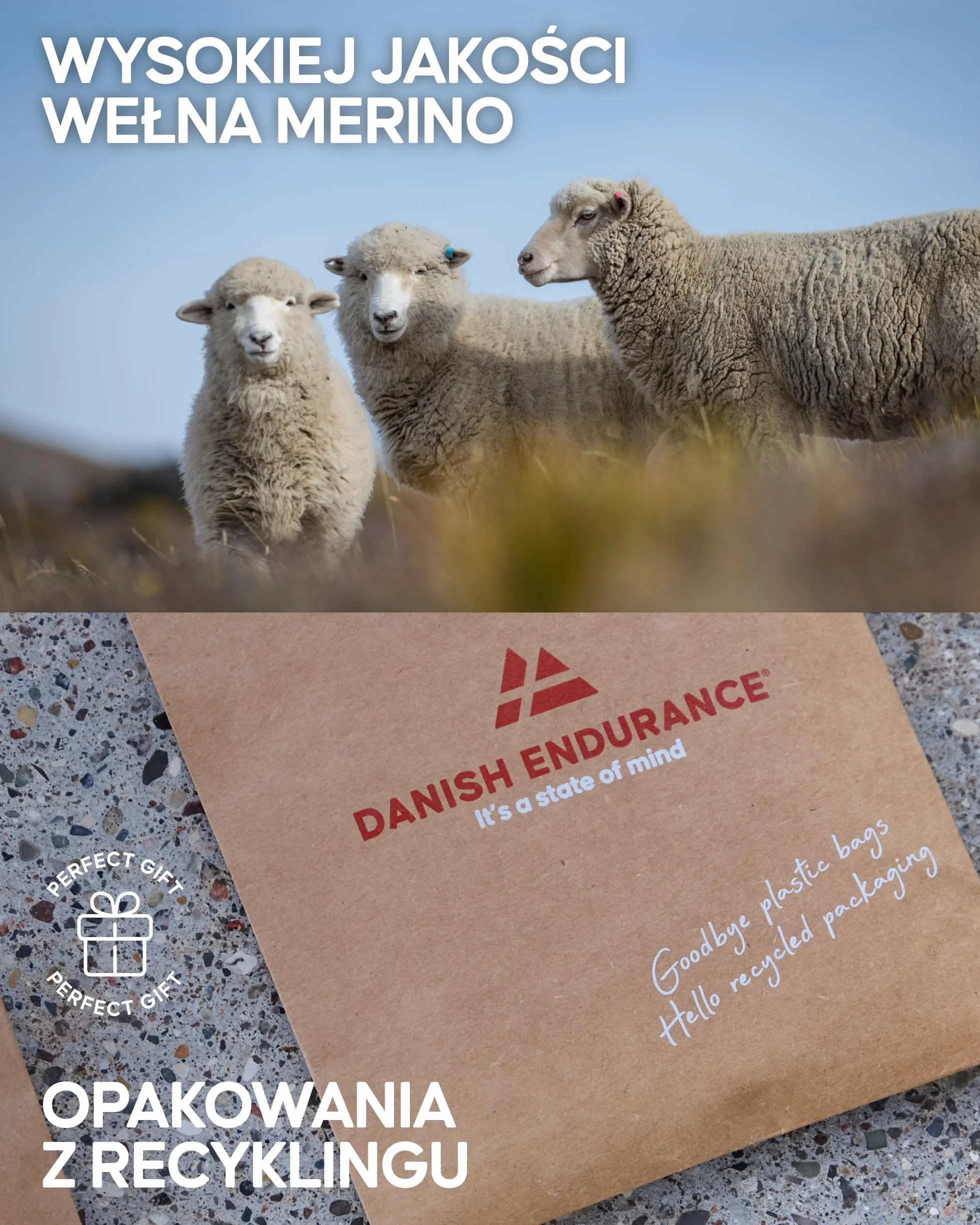 DANISH ENDURANCE Skarpety Trekkingowe z Wełny Merino z Amortyzacją, Oddychające, Przeciw Pęcherzom, dla Mężczyzn i Kobiet, Unisex, 3 lub 5-Pak