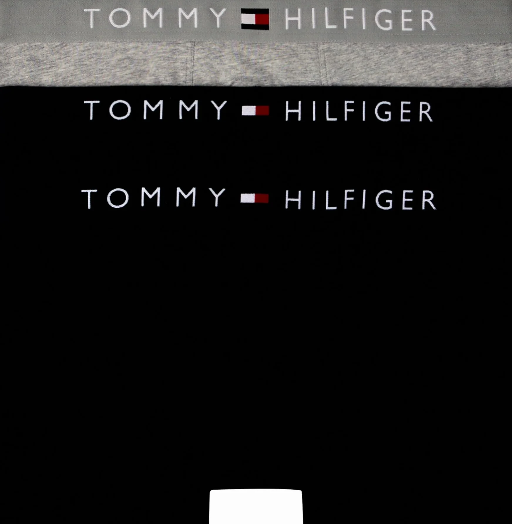 Tommy Hilfiger Męski bagażnik (3 sztuki), Czarny (Des Sky/Grey Htr/Des Sky), XL