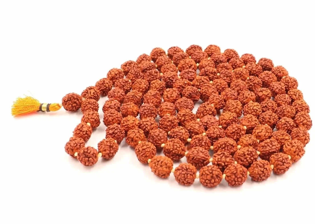 Zap Impex Rudraksha Mala certyfikowany naturalny Rudraksh Mala oryginalny certyfikat Rudraksha Mala 5 mm Rudraksh (rozmiar: 5 mm, perły: 108 + 1), Nasiona