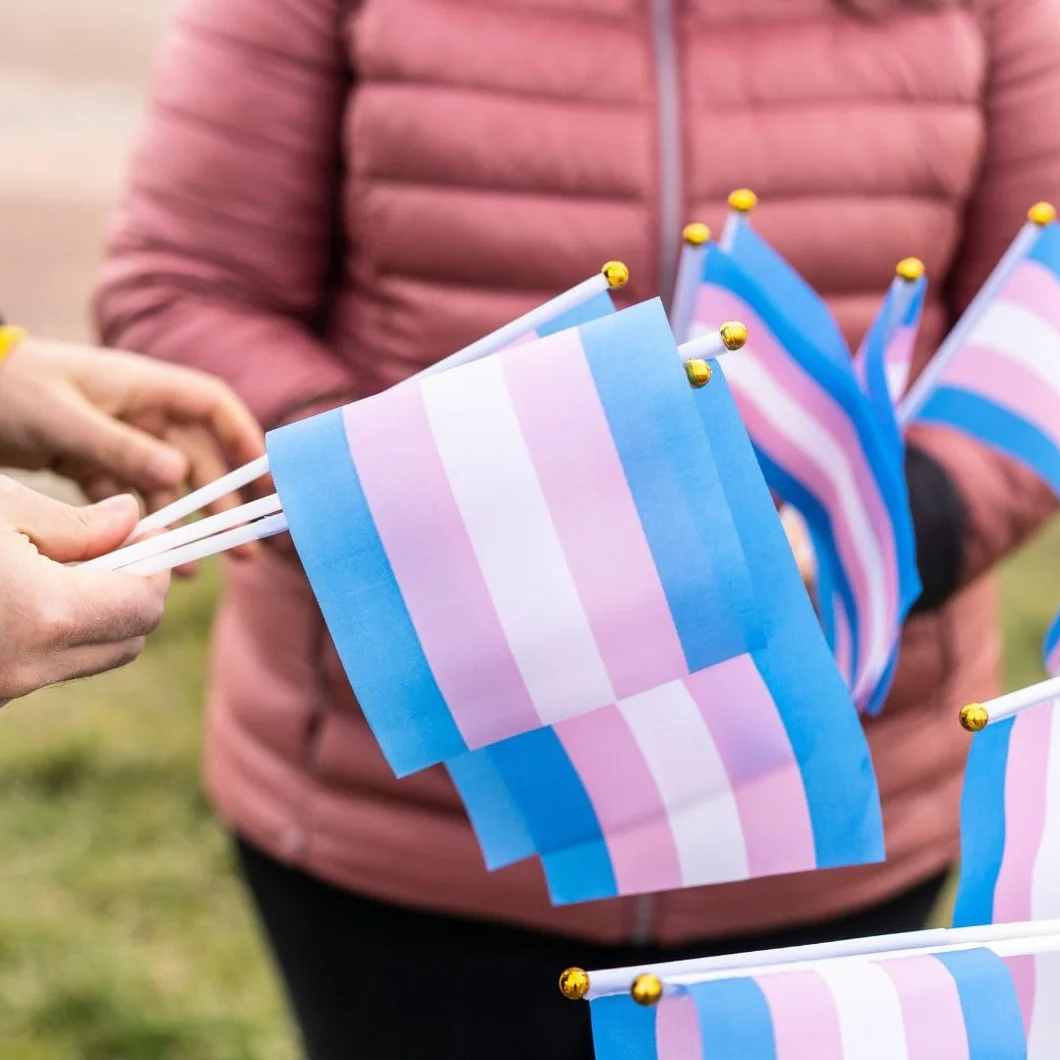 Runesol 12 sztuk ręcznych flag transpłciowych, 14 cm x 21 cm, mini flagi LGBTQ, małe flagi na patykach, dekoracje imprezowe LGBT na patyku, LGBTQ+, wydarzenia, uroczystości, dekoracje dumy trans