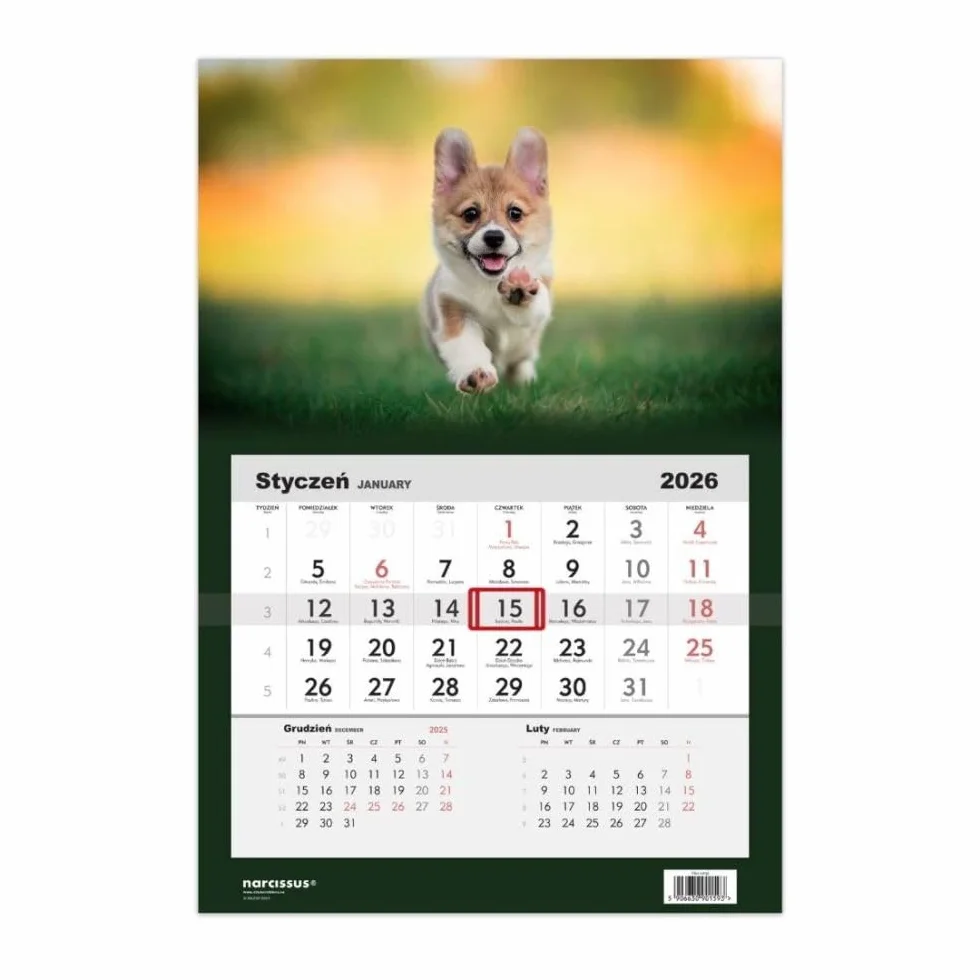 Kalendarz 2026 Jednodzielny Pies corgi