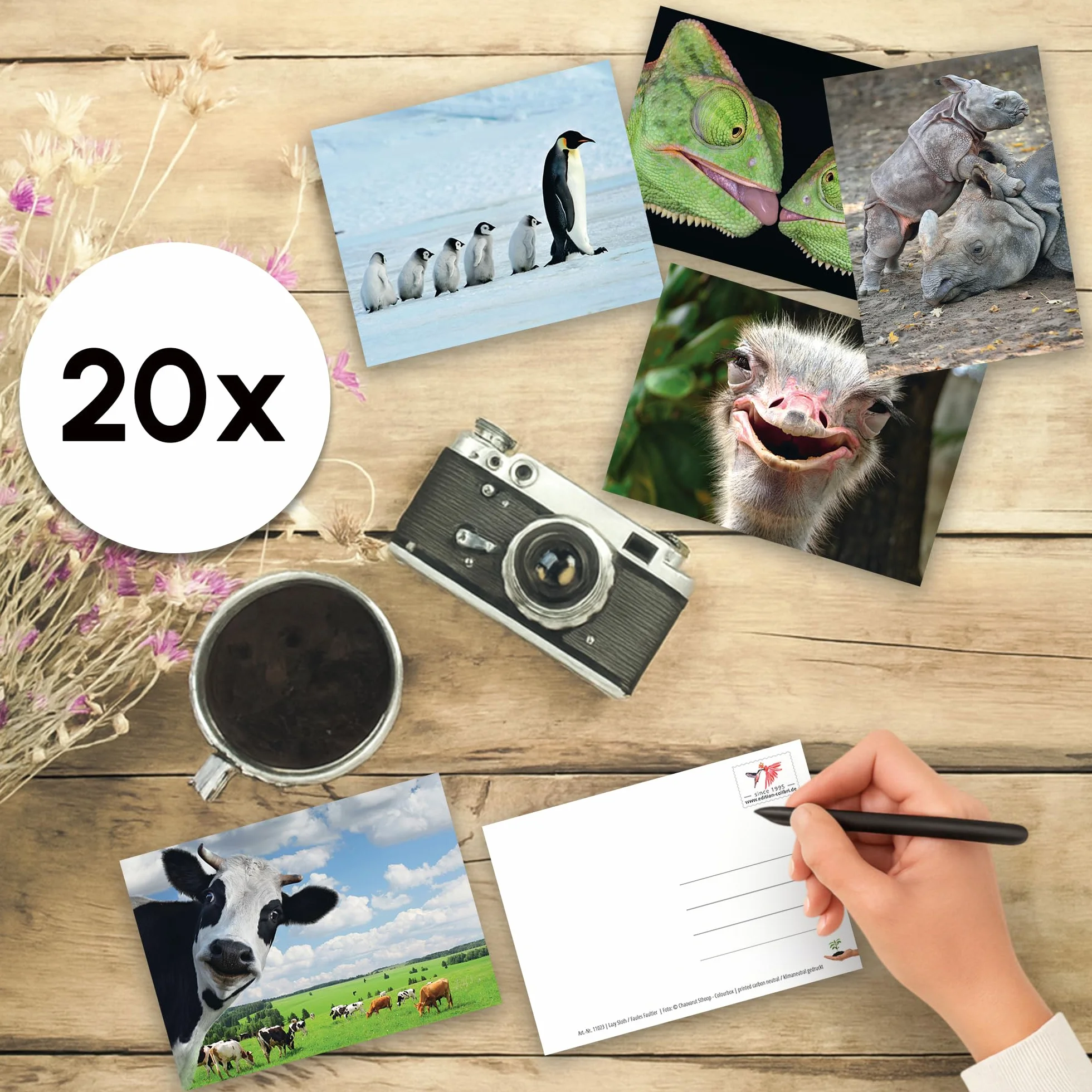 „Zabawne zwierzęta 6”: Zestaw 20 kartek pocztowych z zabawnymi i fajnymi zwierzętami (20 pocztówek) dla kolekcjonerów i do postcrossingu, od Edition Colibry