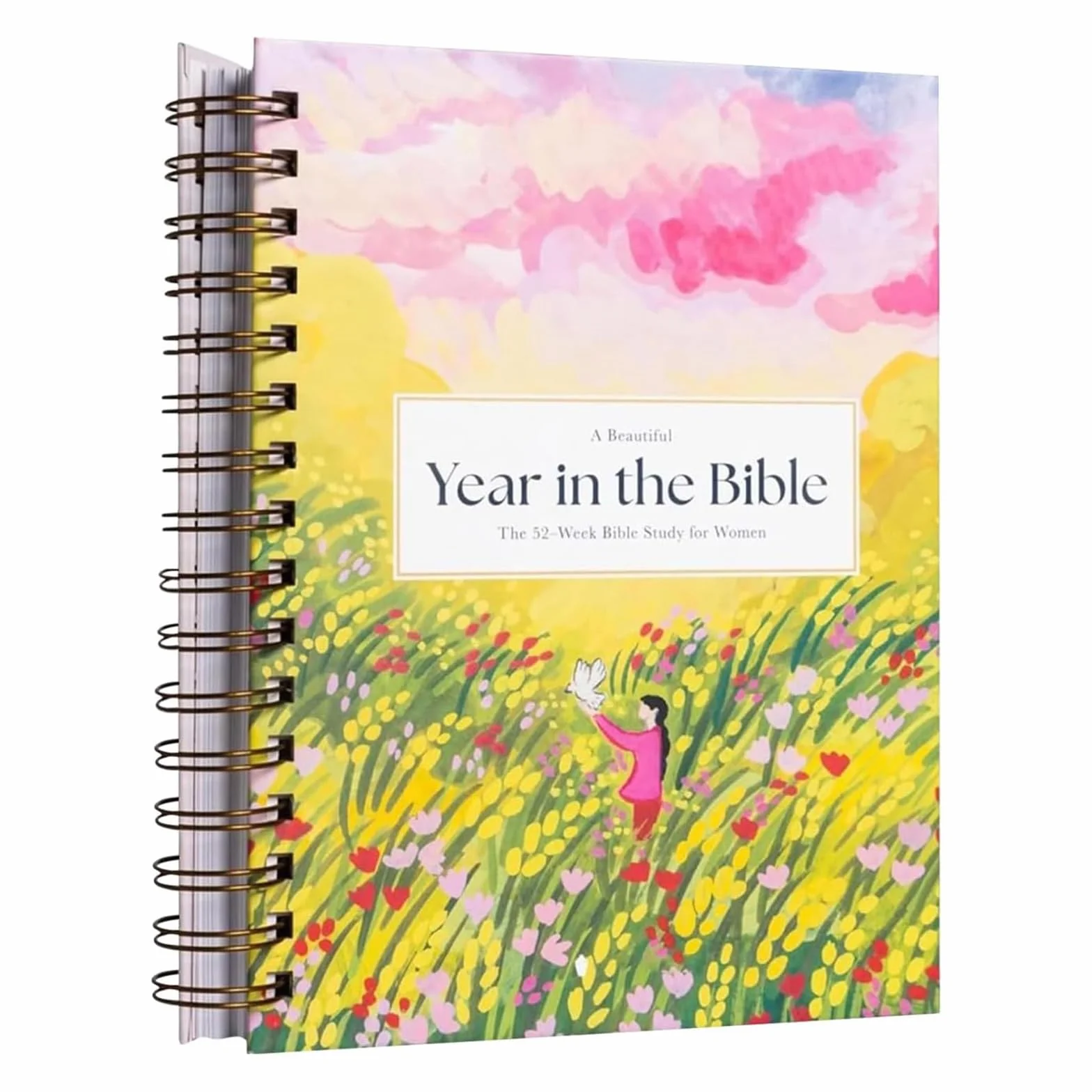 Piękny rok w Biblii dla kobiet spiralna Biblia dla kobiet 52-tygodniowe studium biblijne dla kobiet studium biblijne dla kobiet rok w Biblii Kobiety Spiral Bound Biblia Study Guide Rok w Biblii