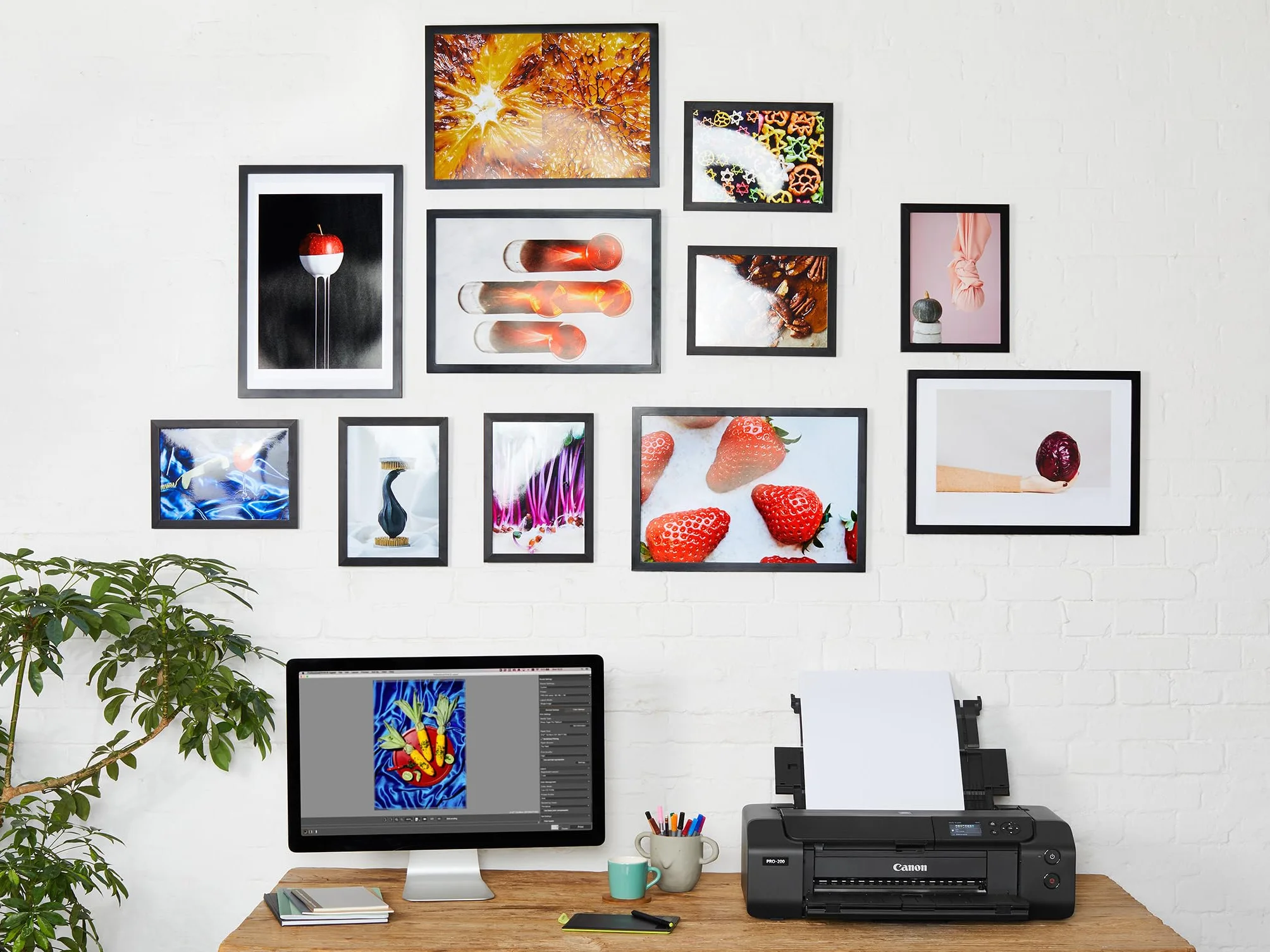 Canon Papier fotograficzny SG-201 Plus jedwabisty połysk - DIN A4 20 arkuszy jedwabisty mat do drukarek atramentowych - PIXMA drukarka (260 g/m2)