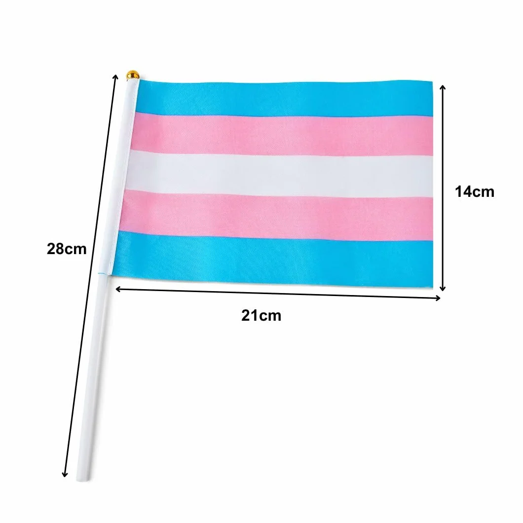 Runesol 12 sztuk ręcznych flag transpłciowych, 14 cm x 21 cm, mini flagi LGBTQ, małe flagi na patykach, dekoracje imprezowe LGBT na patyku, LGBTQ+, wydarzenia, uroczystości, dekoracje dumy trans