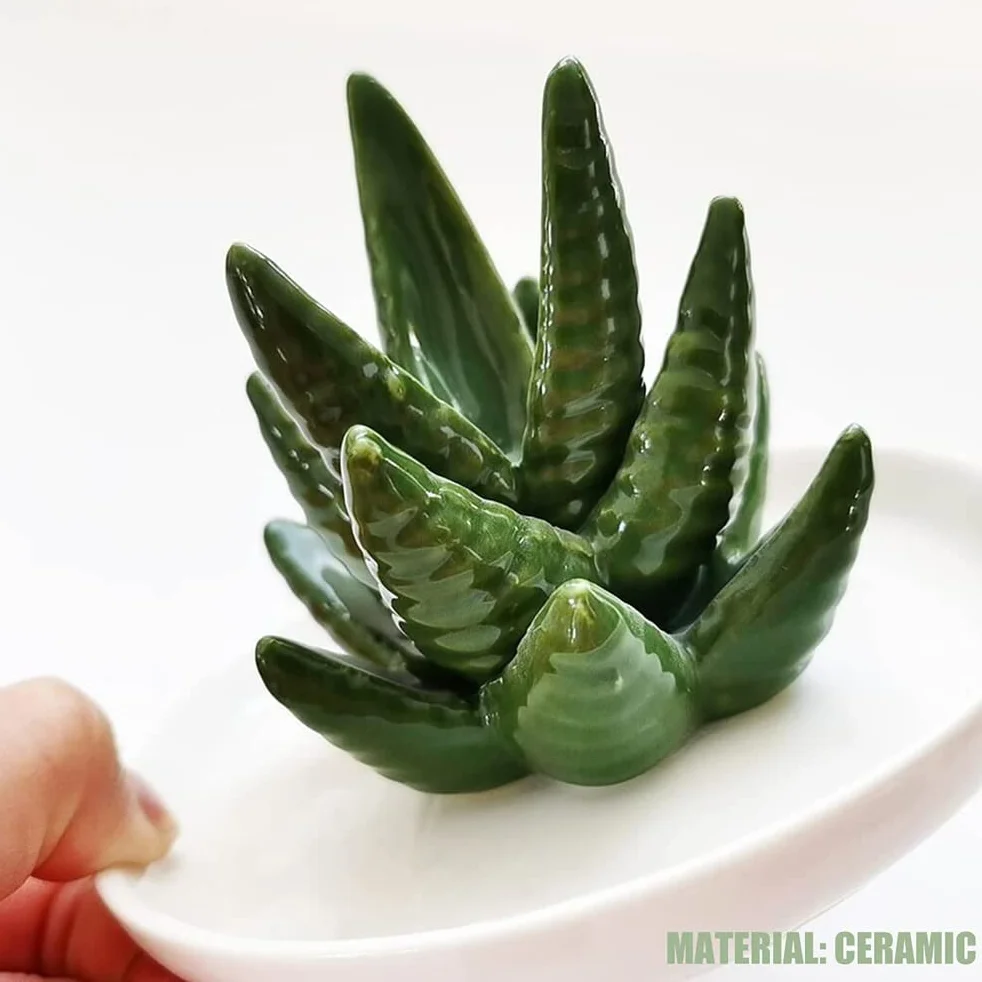 Aloes Ceramiczny Uchwyt na Pierścionek Danie, Uchwyt na biżuterię Pierścionki Bransoletki Kolczyki Zielony Soczysty Ozdoba Taca dla Kobiet Dziewczyn