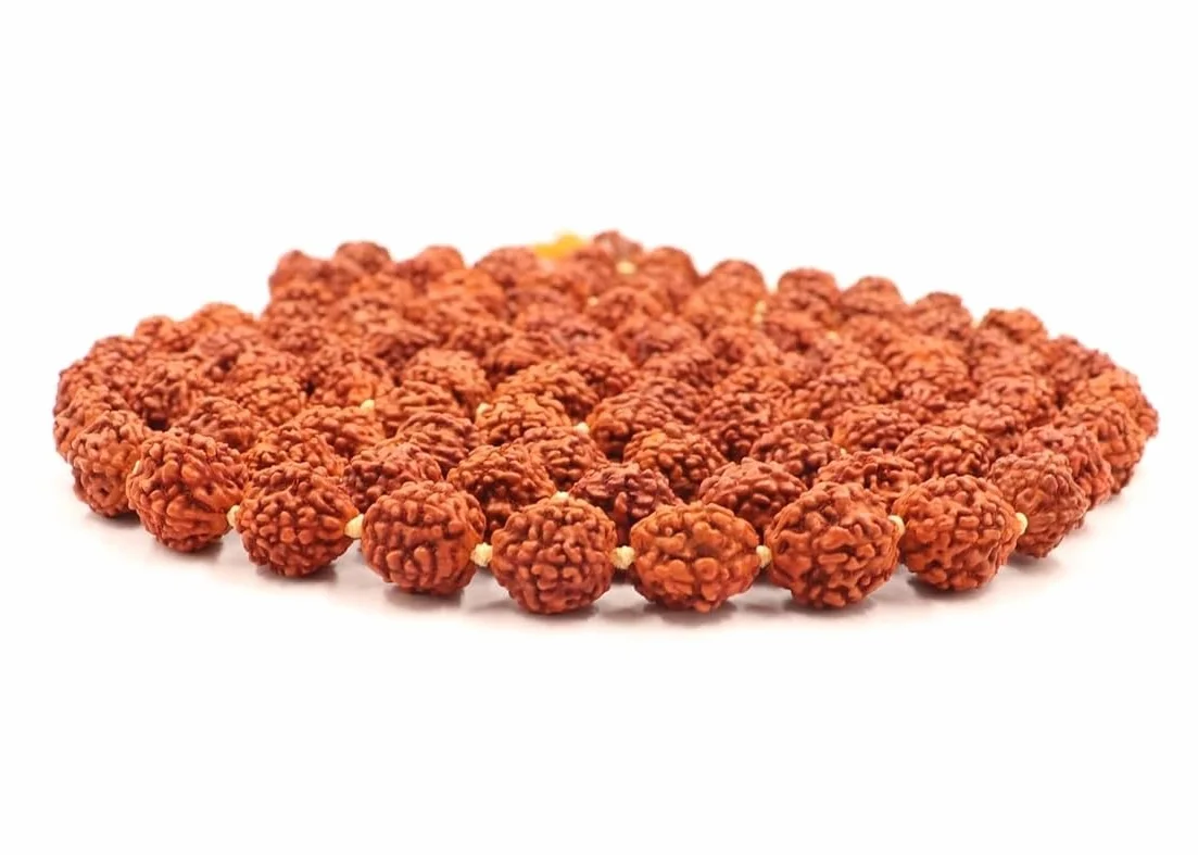 Zap Impex Rudraksha Mala certyfikowany naturalny Rudraksh Mala oryginalny certyfikat Rudraksha Mala 5 mm Rudraksh (rozmiar: 5 mm, perły: 108 + 1), Nasiona
