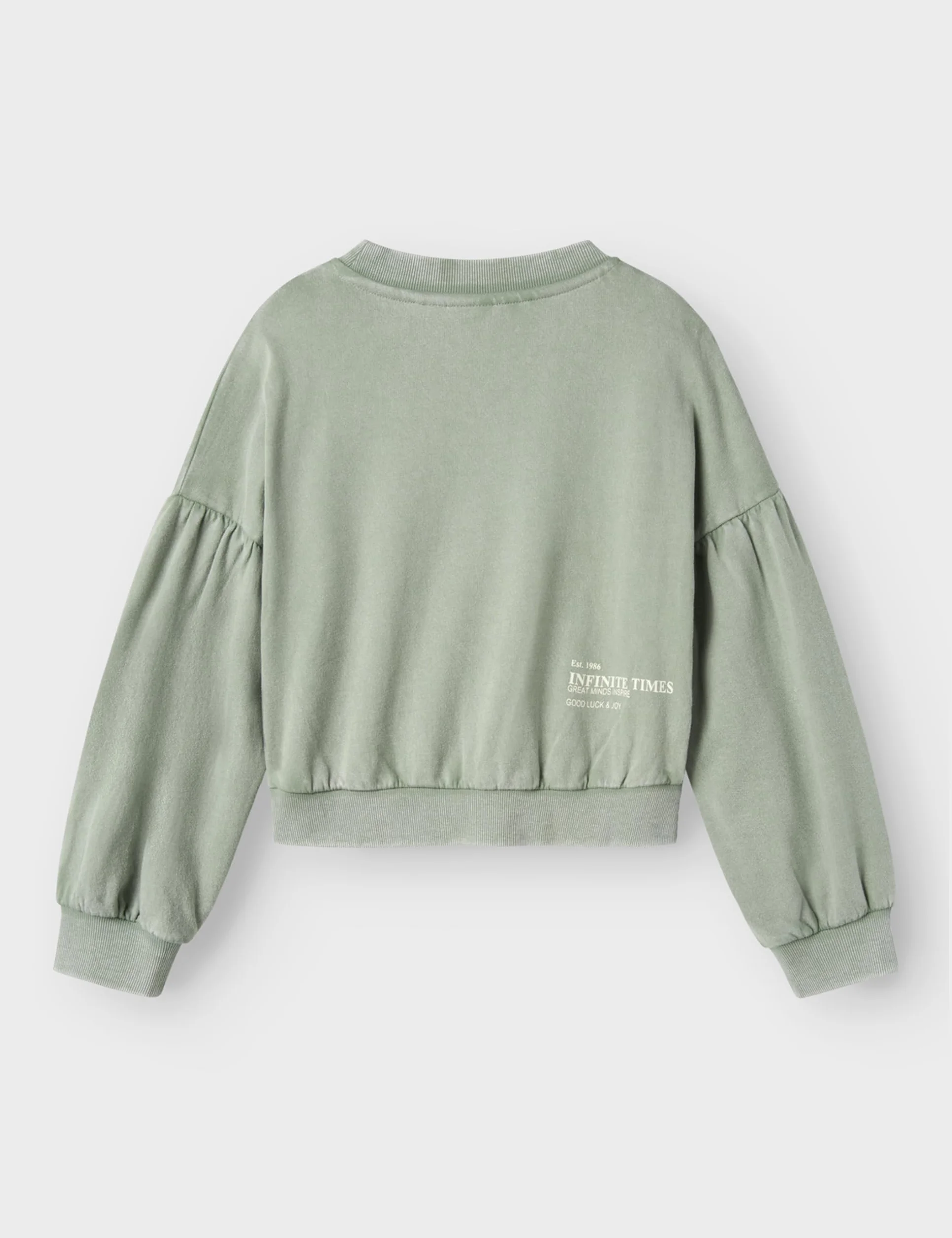 NAME IT Nkfotylle Ls Short Nreg Sweat Bru, Lily Pad, 134