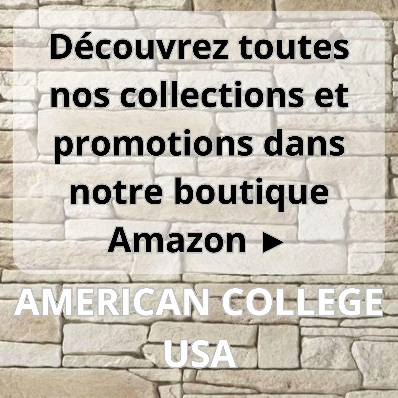 AMERICAN COLLEGE USA Bluza sweter z nadrukiem ciepłe ubrania mieszane mężczyźni i kobiety na co dzień model ACSZW1 MELL szary L, Szary, L