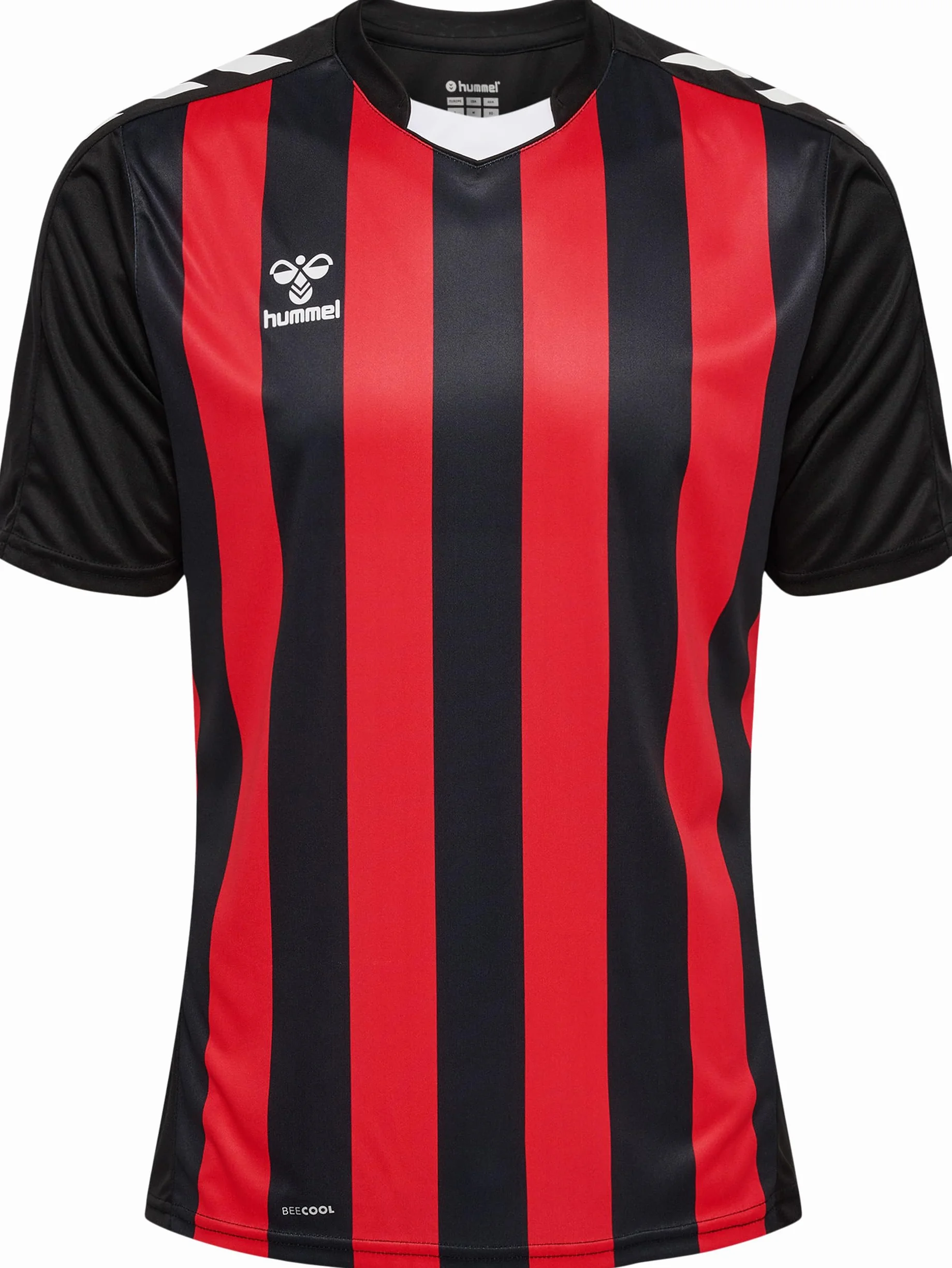 hummel T-shirt Mężczyźni Hmlcore Xk Striped Jersey S/S