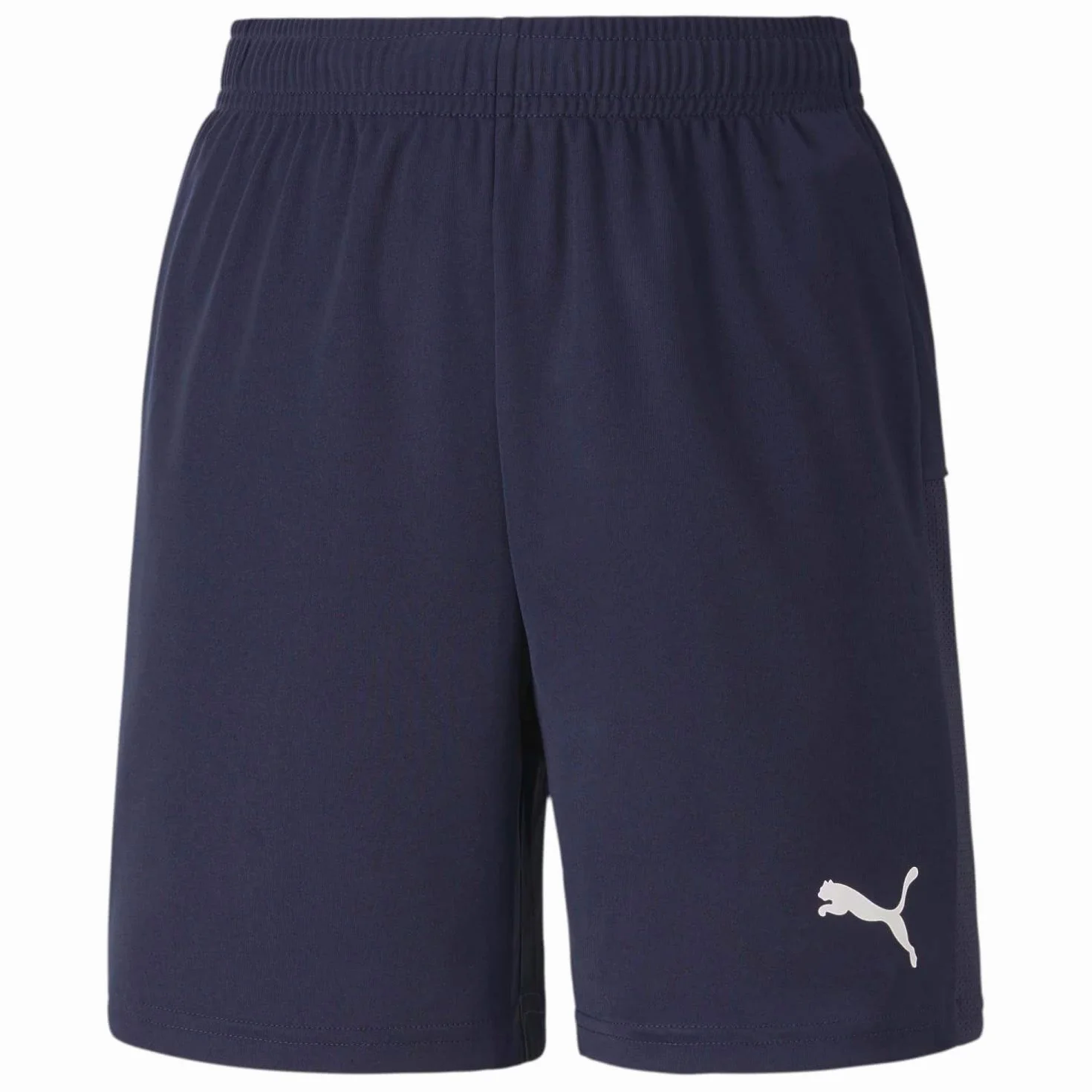 PUMA Teamgoal 23 Knit Jr - Szorty Chłopcy