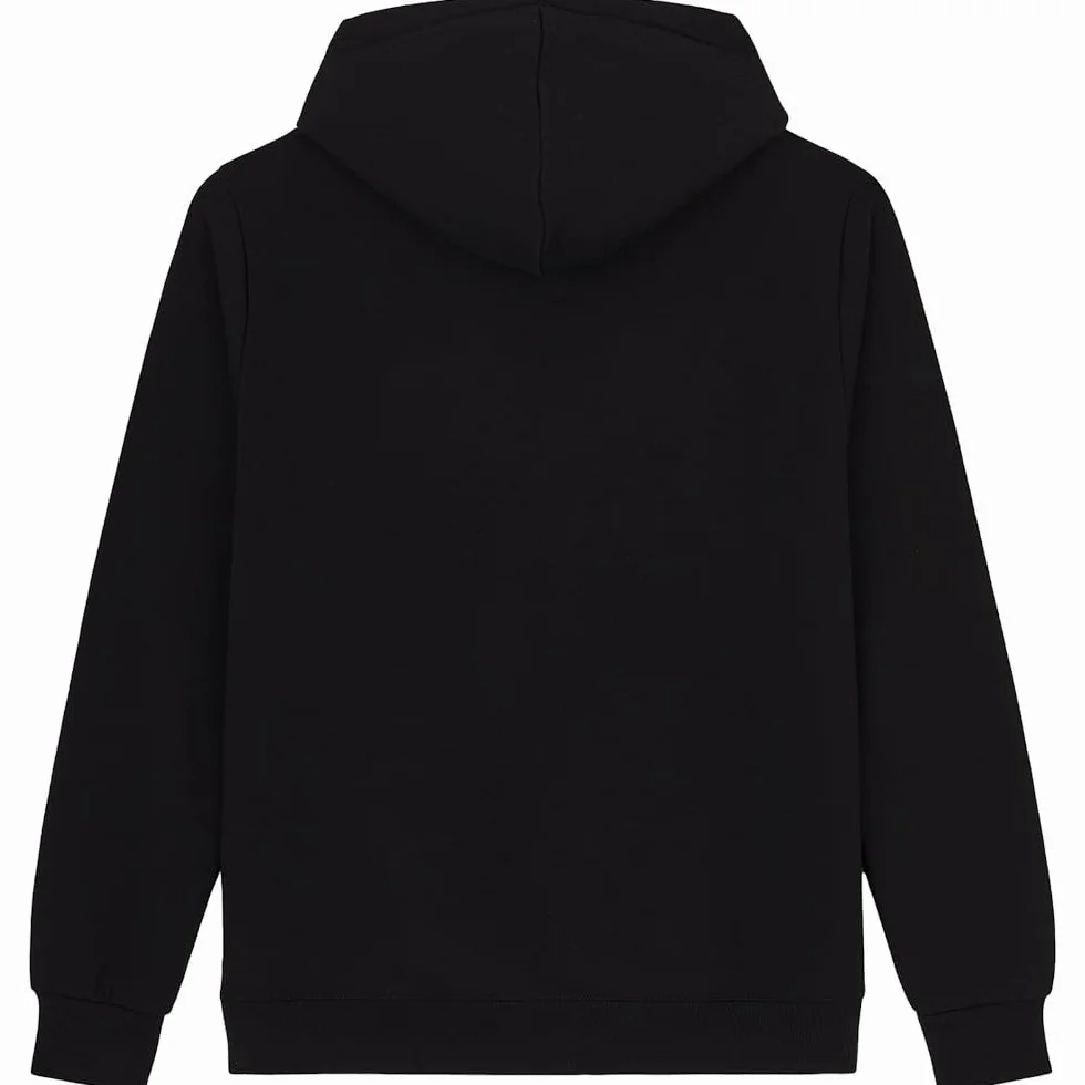Dickies Bluza z kapturem Mężczyźni Bluza z kapturem z logo Icon