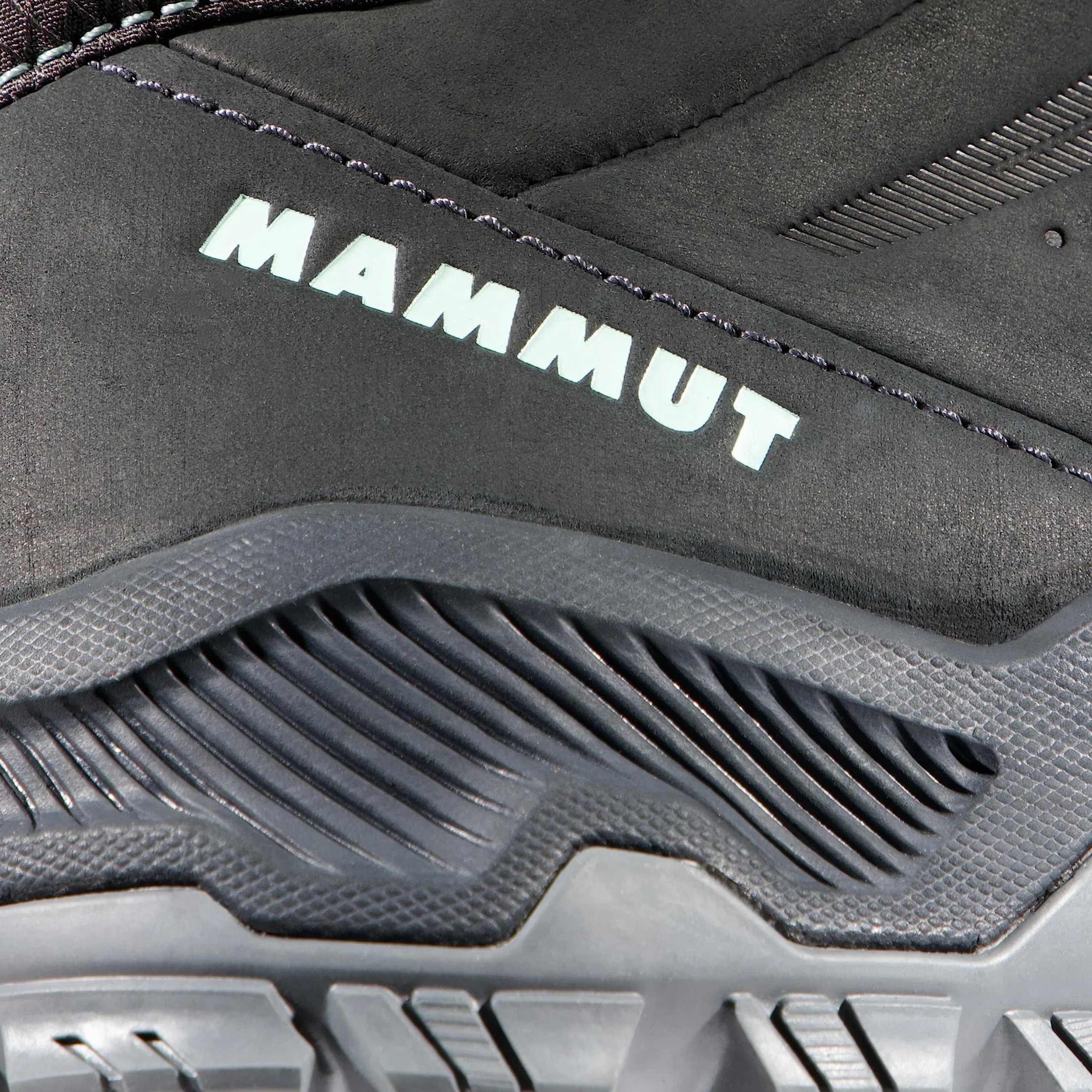Mammut