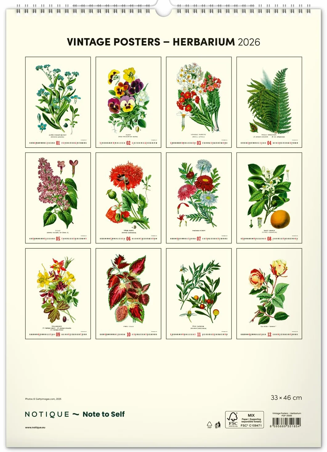 NOTIQUE Kalendarz ścienny 2026 w stylu vintage, plakat – zielnik – ilustracje roślin i plakaty natury – kalendarz ze zdjęciami 33 x 46 cm