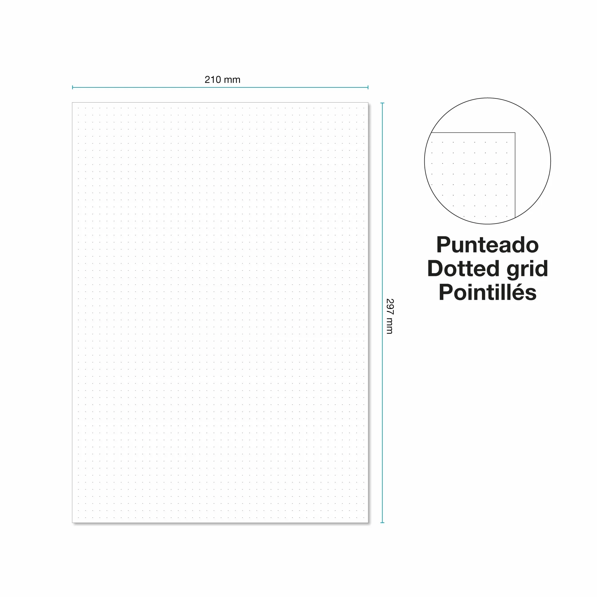 Miquelrius - arkusze uzupełniające luźne kartki, 100 luźnych punktów, rozmiar A4, papier 90 g, bez wiercenia