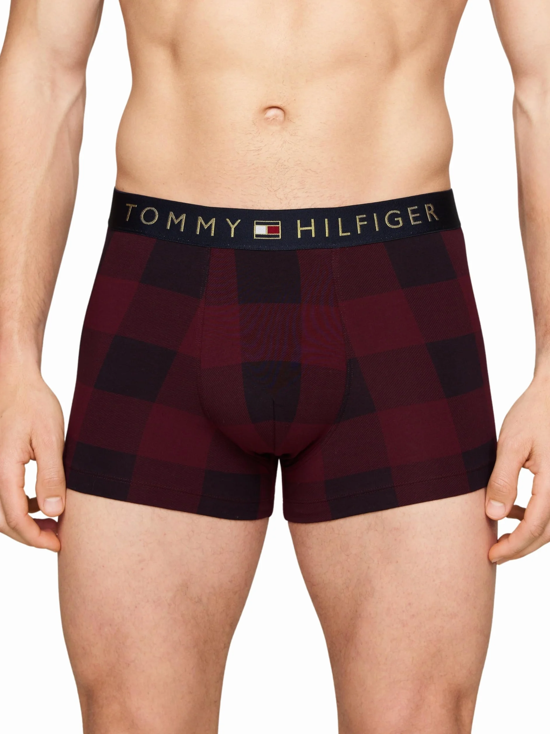 Tommy Hilfiger Męski zestaw z nadrukiem i skarpetami do bagażnika złoty Wb UM0UM03048, inna bielizna, wielokolorowy, M, Multi (Buffalo Check/Des Sky), M