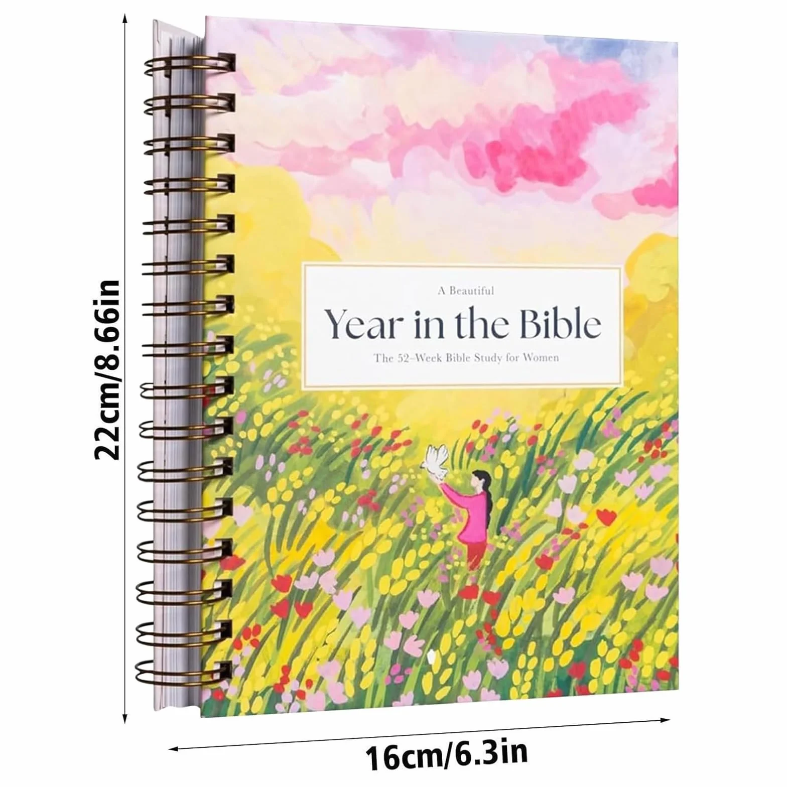 Piękny rok w Biblii dla kobiet spiralna Biblia dla kobiet 52-tygodniowe studium biblijne dla kobiet studium biblijne dla kobiet rok w Biblii Kobiety Spiral Bound Biblia Study Guide Rok w Biblii