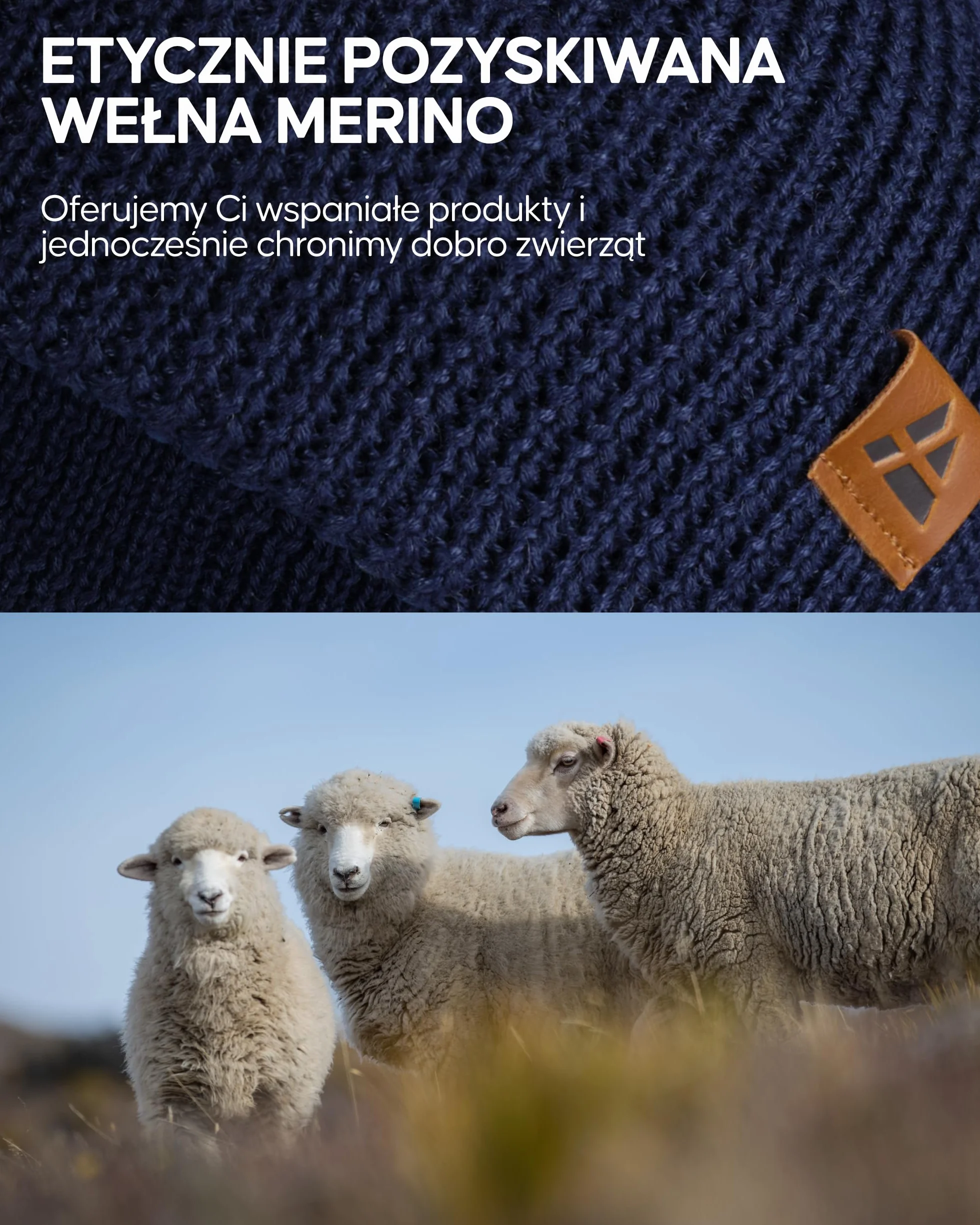 DANISH ENDURANCE Czapka z Polaru z Podszewką z Polaru Merino na Jesień i Zimę, Męska i Damska, Czapki Termiczne