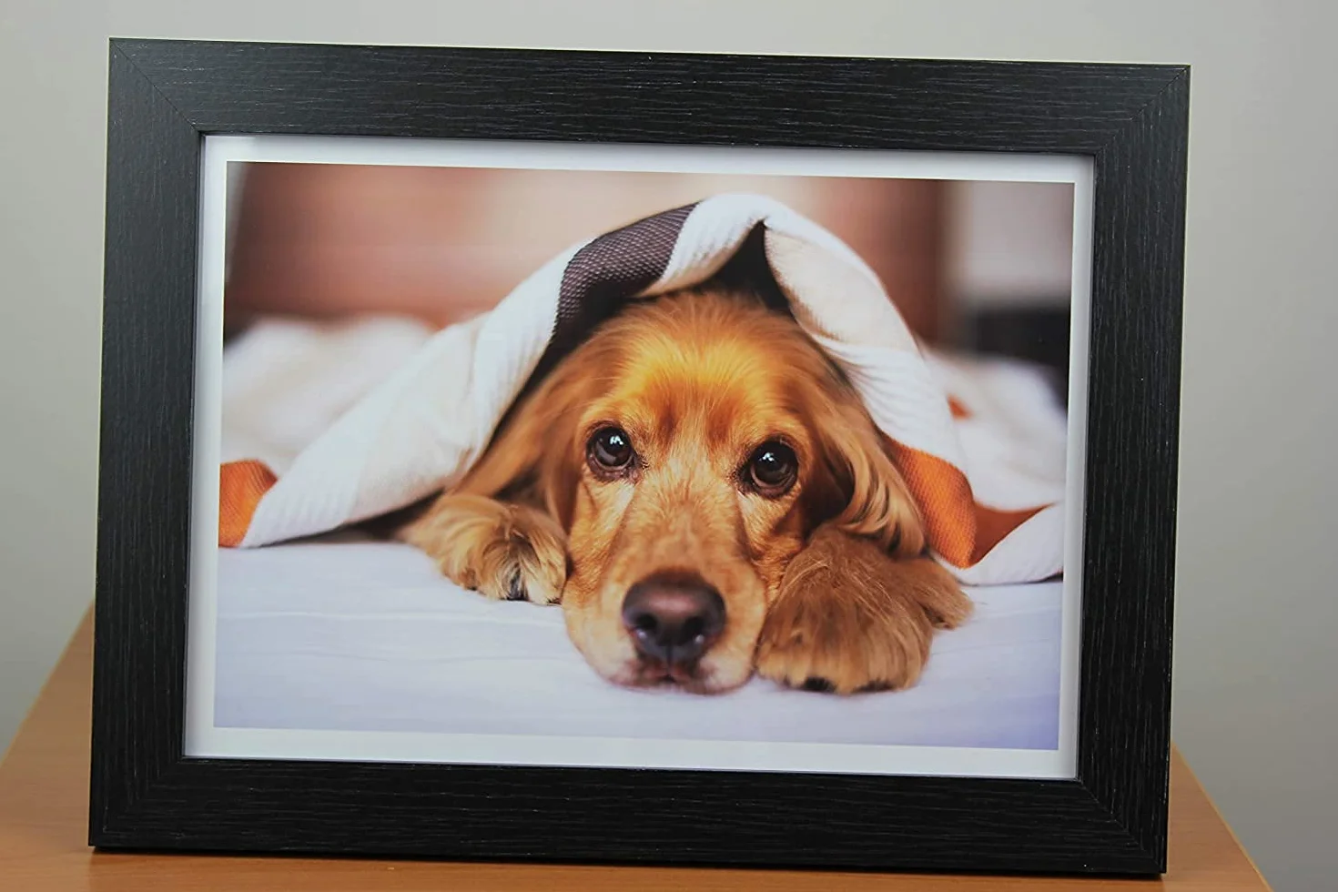PPD A4 50 Arkuszy 180g Błyszczący Papier Fotograficzny do Drukarek Atramentowych - PPD-24-50