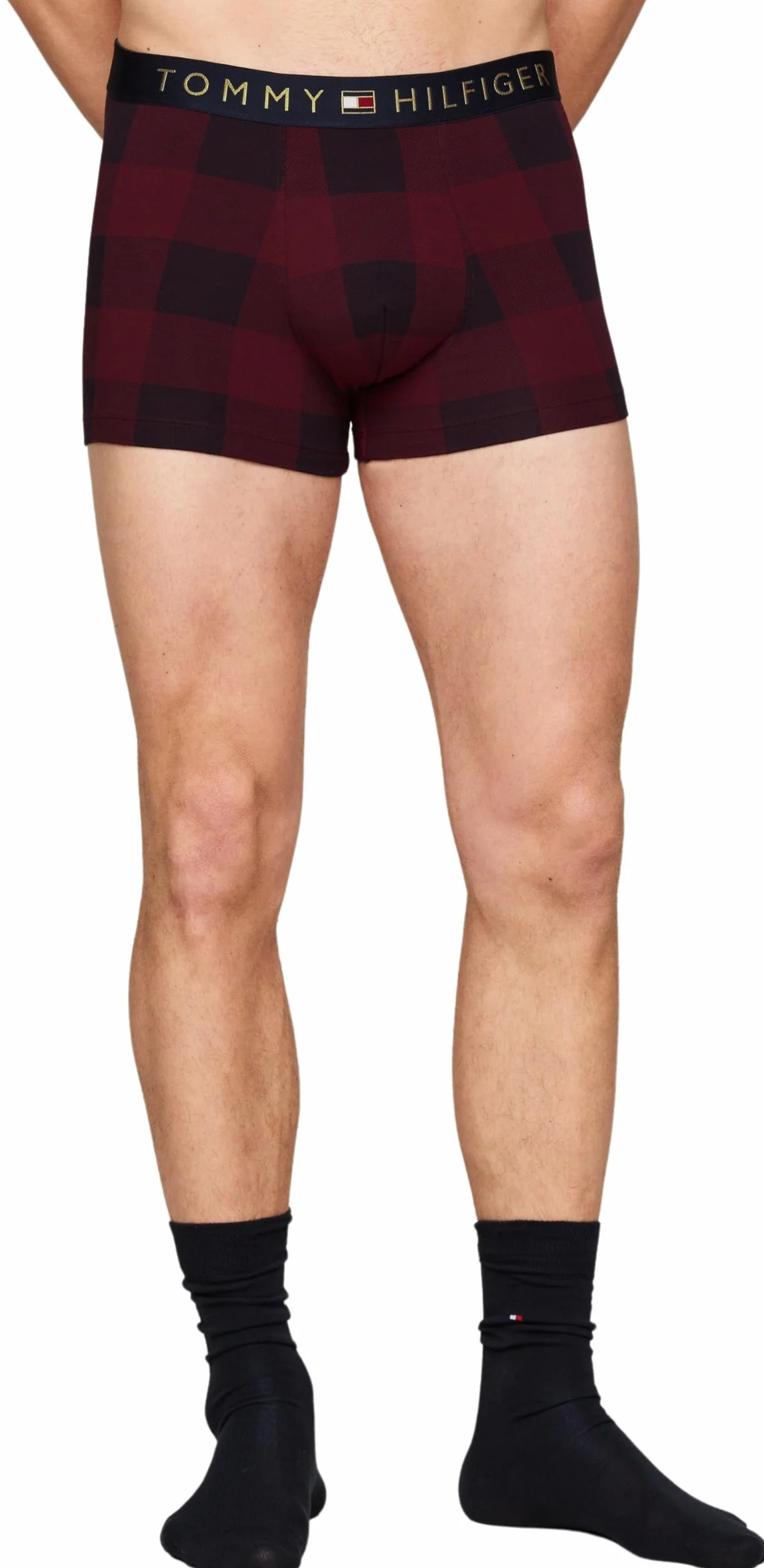 Tommy Hilfiger Męski zestaw z nadrukiem i skarpetami do bagażnika złoty Wb UM0UM03048, inna bielizna, wielokolorowy, M, Multi (Buffalo Check/Des Sky), M