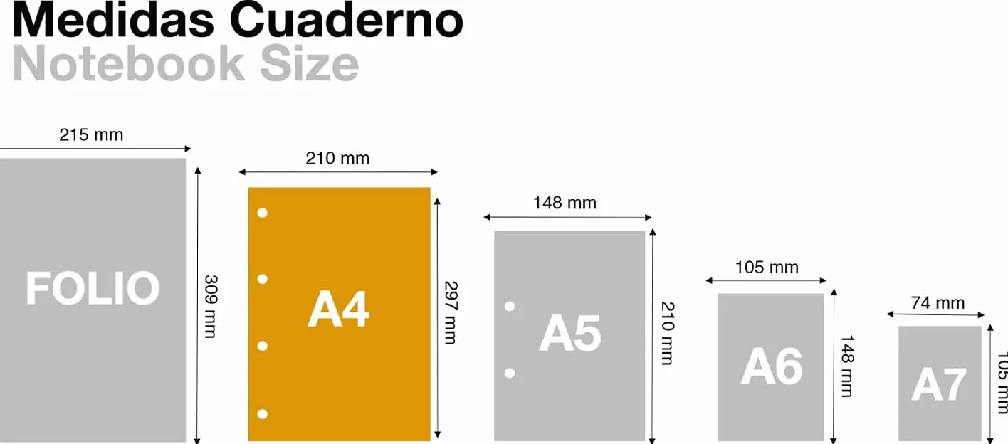 CASTERLI 81010 Papier A4, 50 białych arkuszy, rozmiar A4, 80 g/m², bardzo biały, papier uniwersalny do drukarki A4 80 g/m² (A4, 50 arkuszy)
