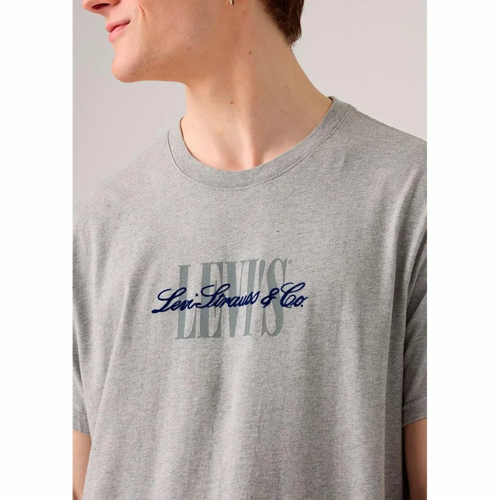 Ss Relaxed Fit Tee Ssnl Serif 5 Mid Tone, 0pen Finish Tbd 4, L