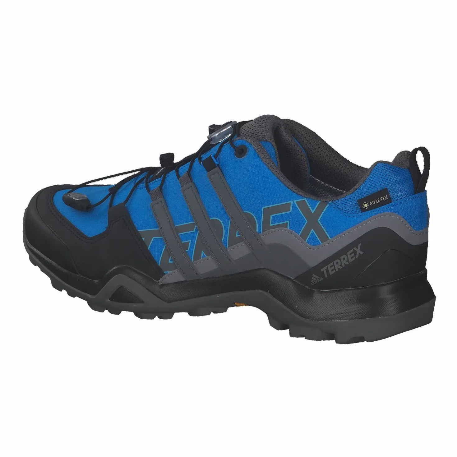 adidas Terrex Swift R2 Gtx - Sneakersy Mężczyźni