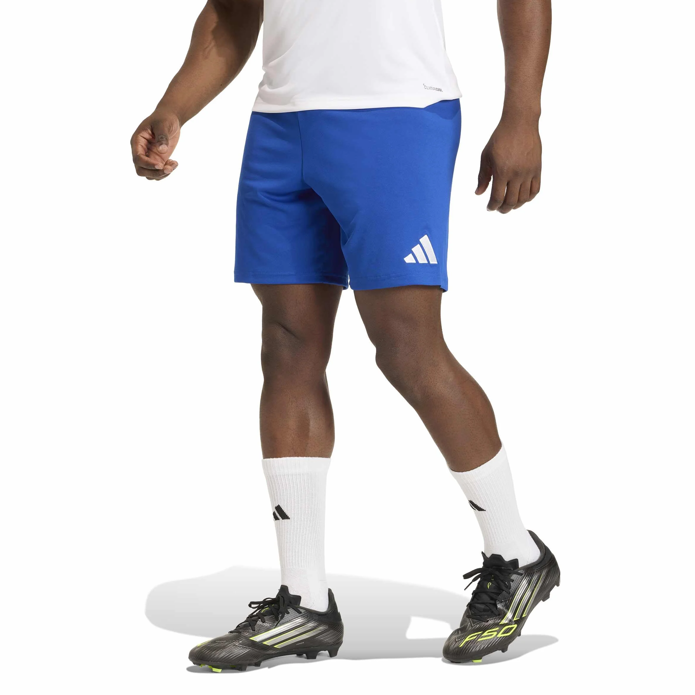 adidas Entrada26 Shorts - Shorty Mezczyzni