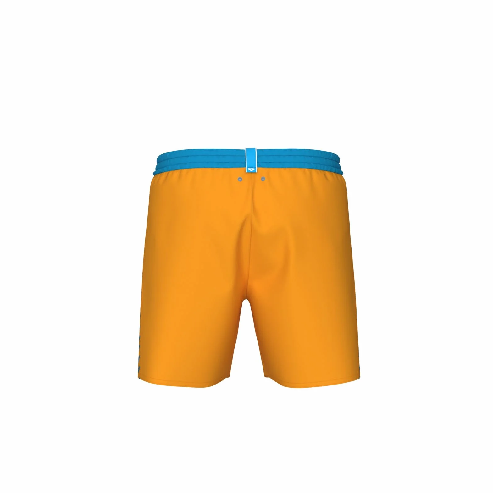 ARENA szorty plażowe Mężczyźni Men's Arena Team Stripe Beach Boxer
