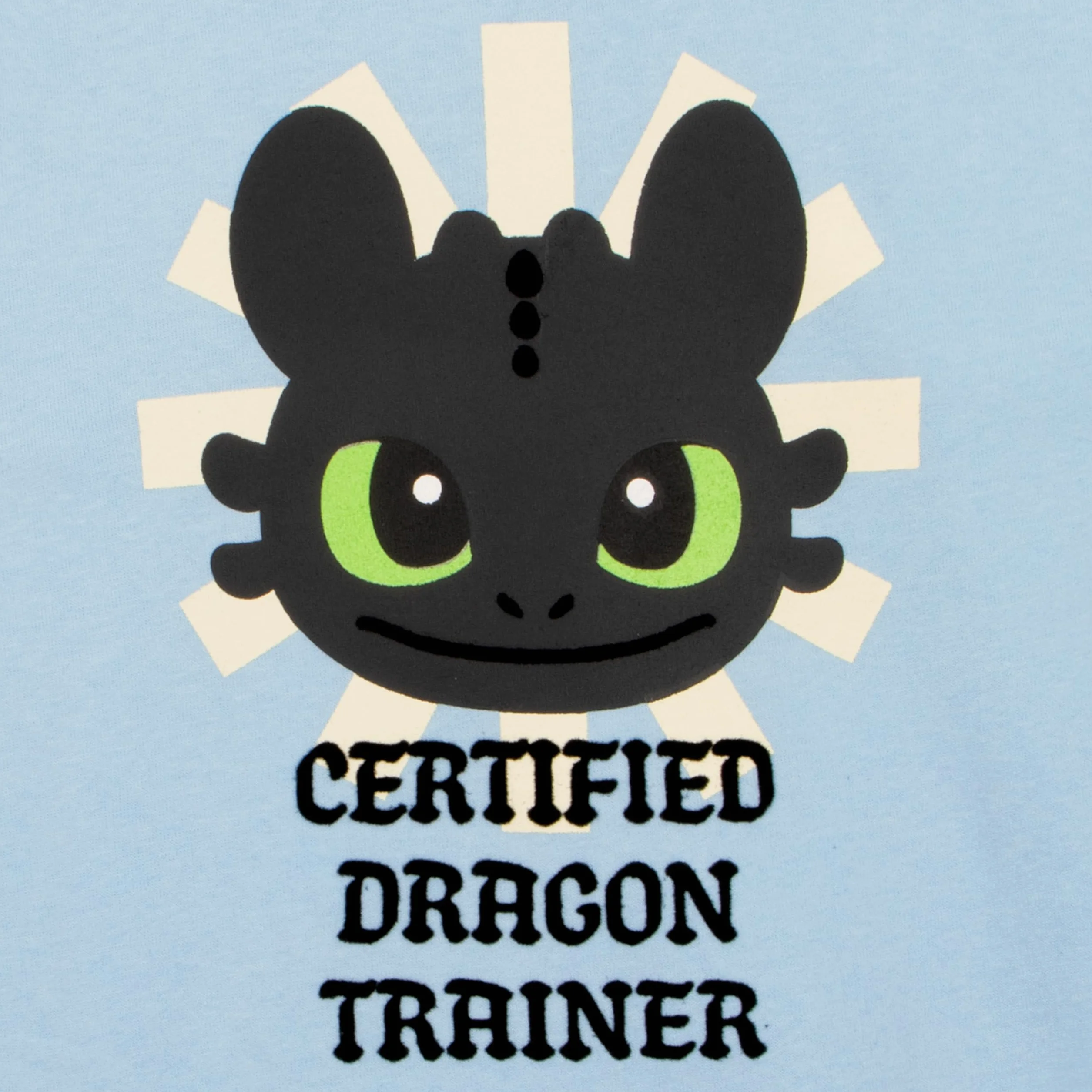 How To Train Your Dragon Bluza, Bluza dziewczęca Z Toothlessem, Bawełniana Sweter Z Długim Rękawem