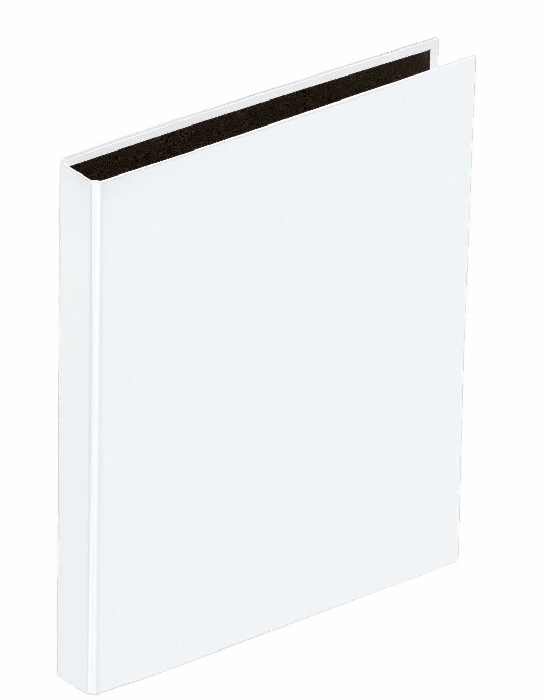 Pagna 20407-02 segregator, A5, Basic, biały