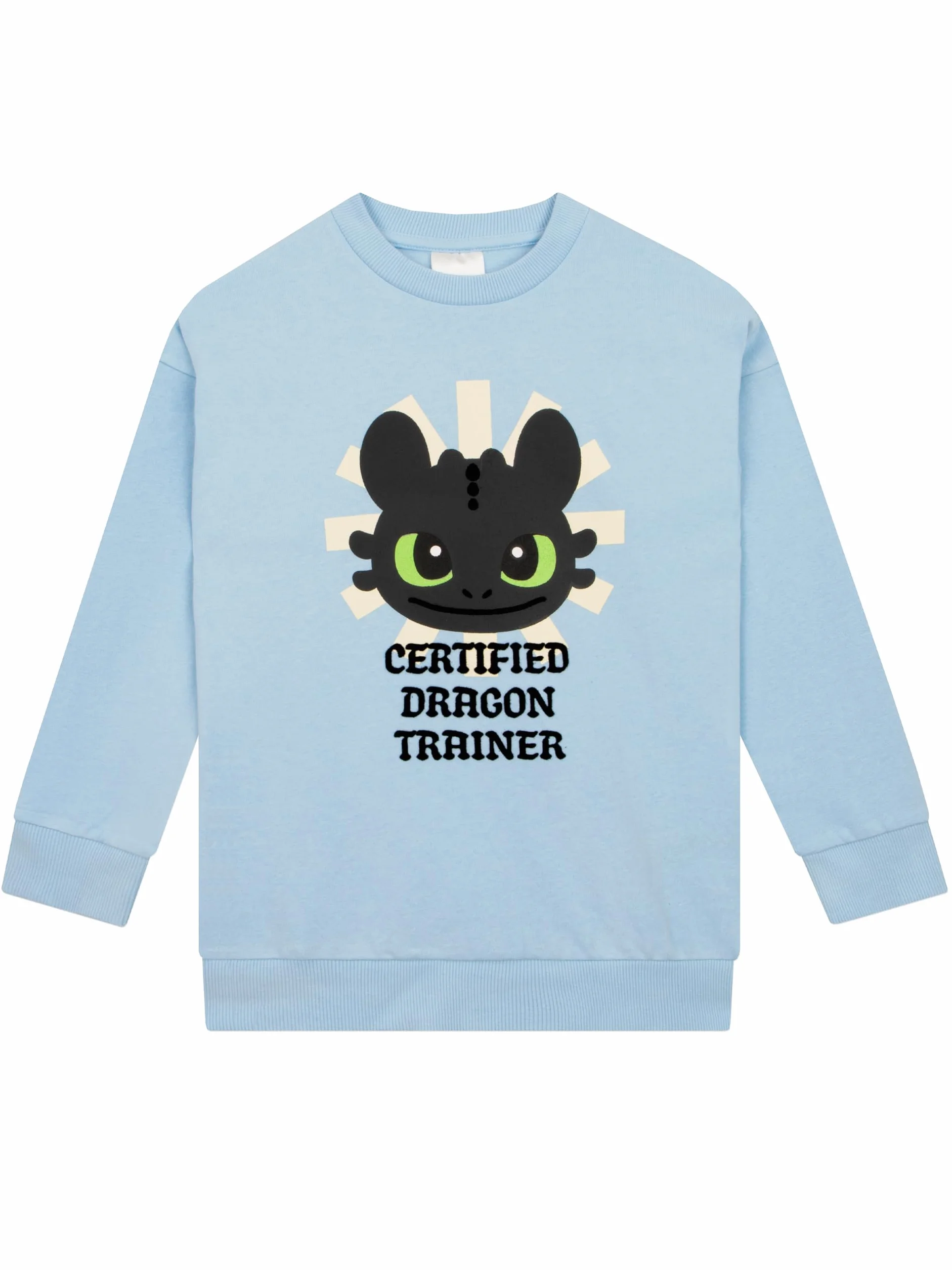 How To Train Your Dragon Bluza, Bluza dziewczęca Z Toothlessem, Bawełniana Sweter Z Długim Rękawem