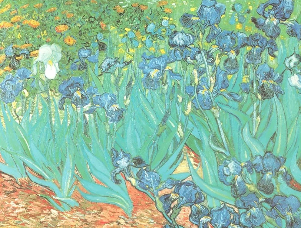 VON LILIENFELD etui na okulary Vincent van Gogh Iris kwiatowe okulary ściereczka z mikrofibry do czyszczenia okularów pudełko na okulary solidne twarde etui pokryte tkaniną