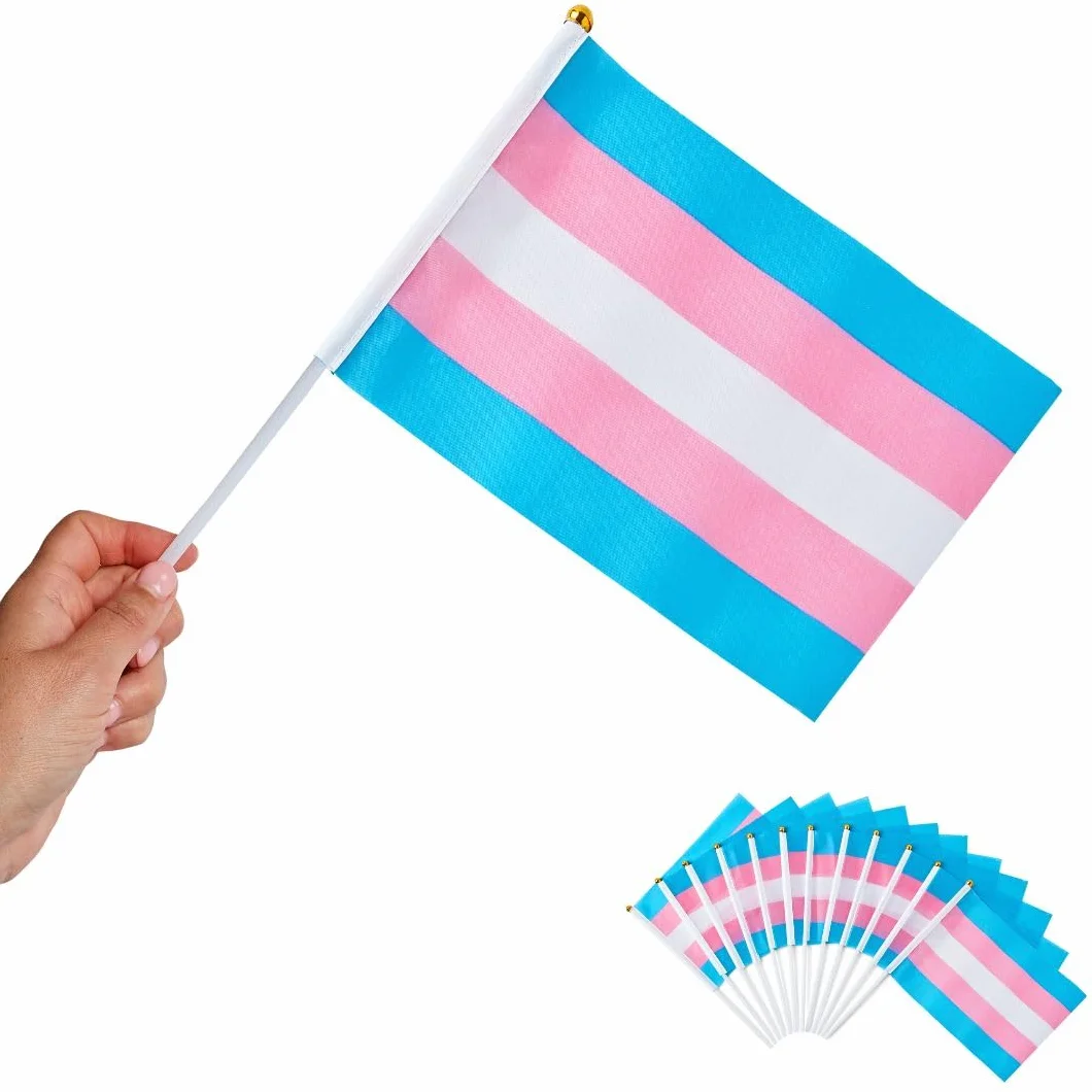 Runesol 12 sztuk ręcznych flag transpłciowych, 14 cm x 21 cm, mini flagi LGBTQ, małe flagi na patykach, dekoracje imprezowe LGBT na patyku, LGBTQ+, wydarzenia, uroczystości, dekoracje dumy trans