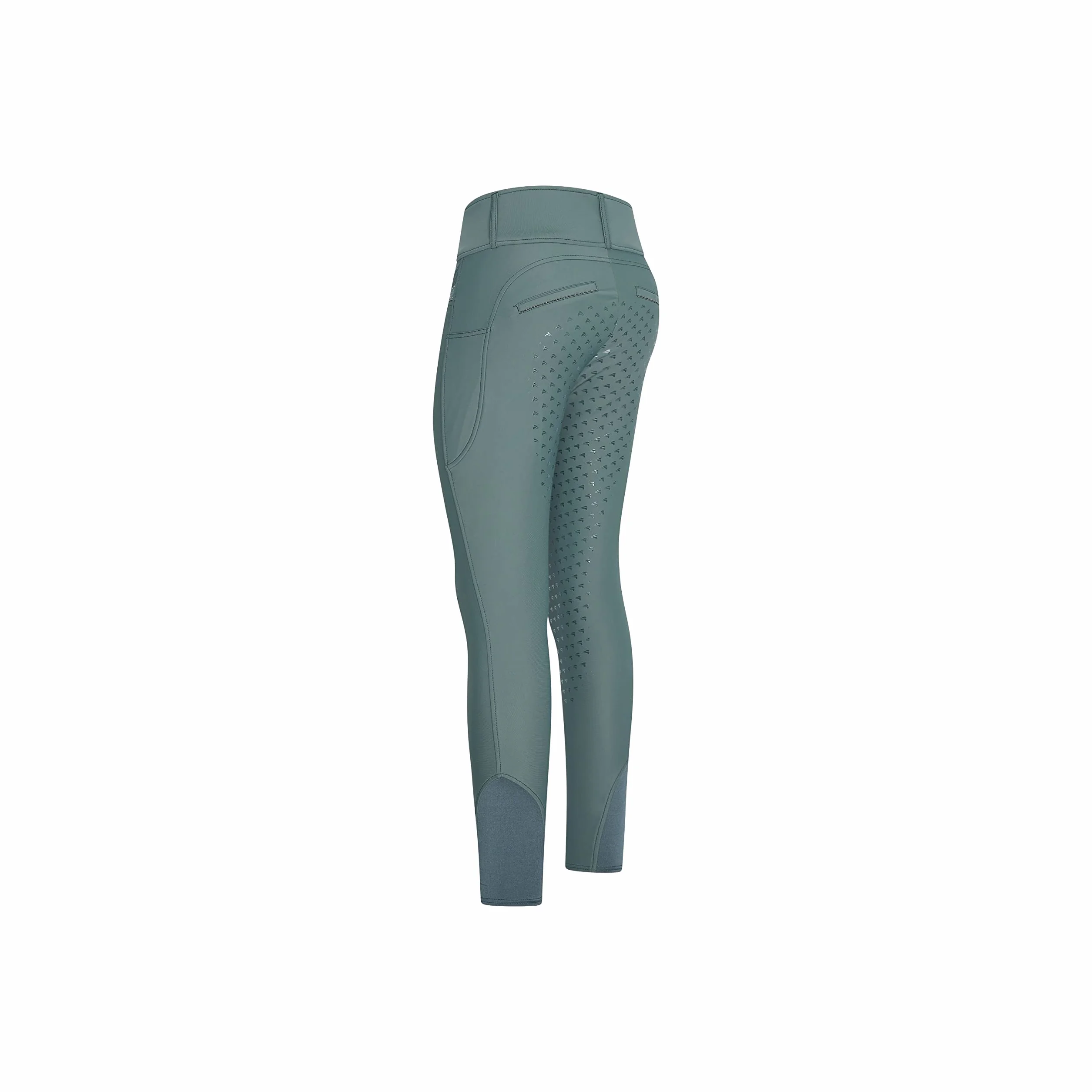 euro-star Legginsy jeździeckie Easy Rider ERMaxima FullGrip Dark Castor HW 22