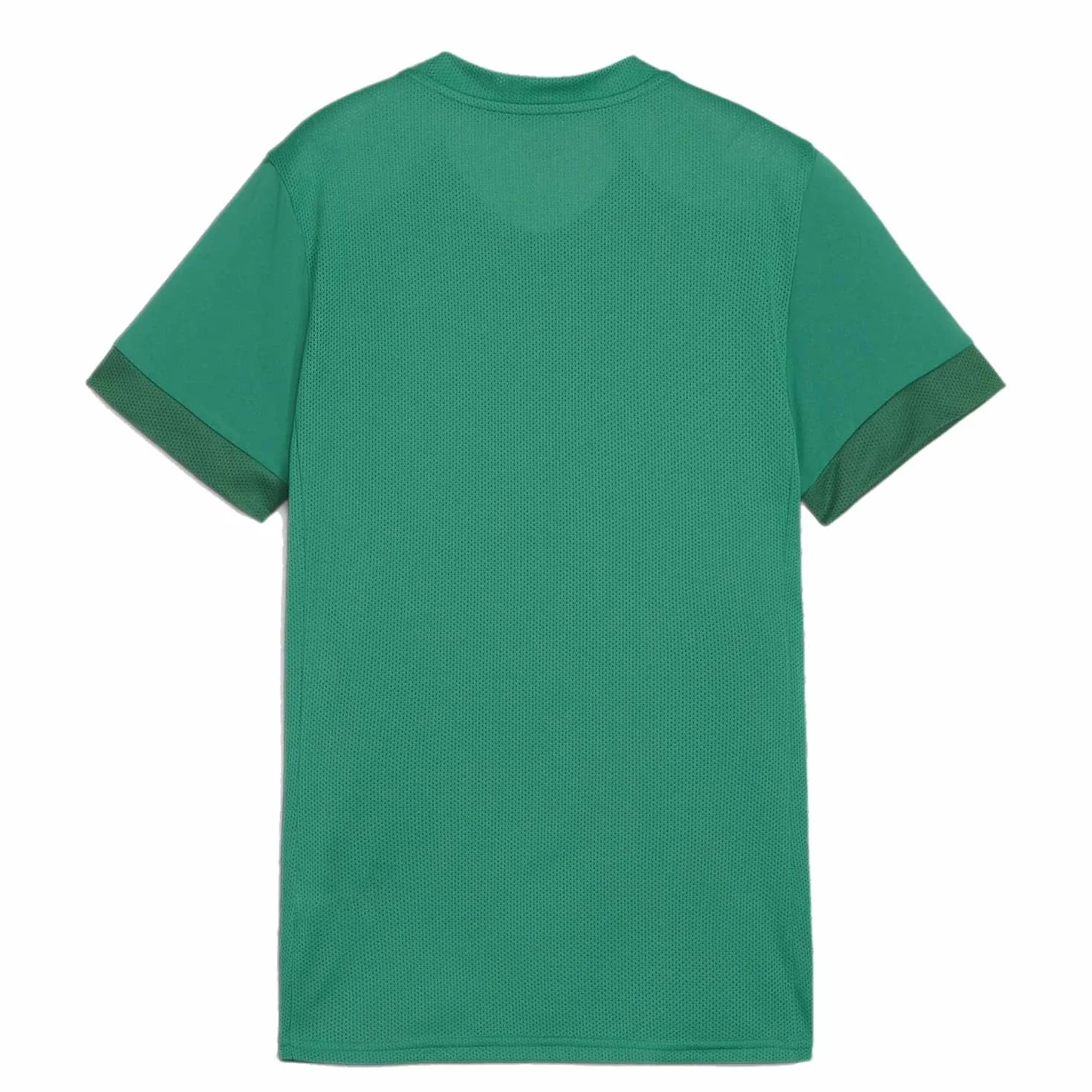 PUMA Koszulka piłkarska unisex Teamgoal Matchday Jersey WMNS