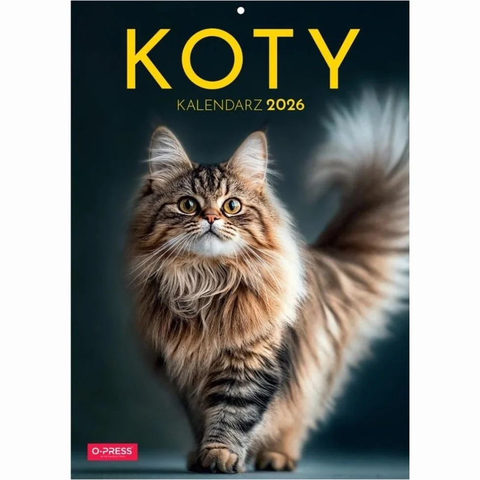Kalendarz 2026 ścienny A4 Koty