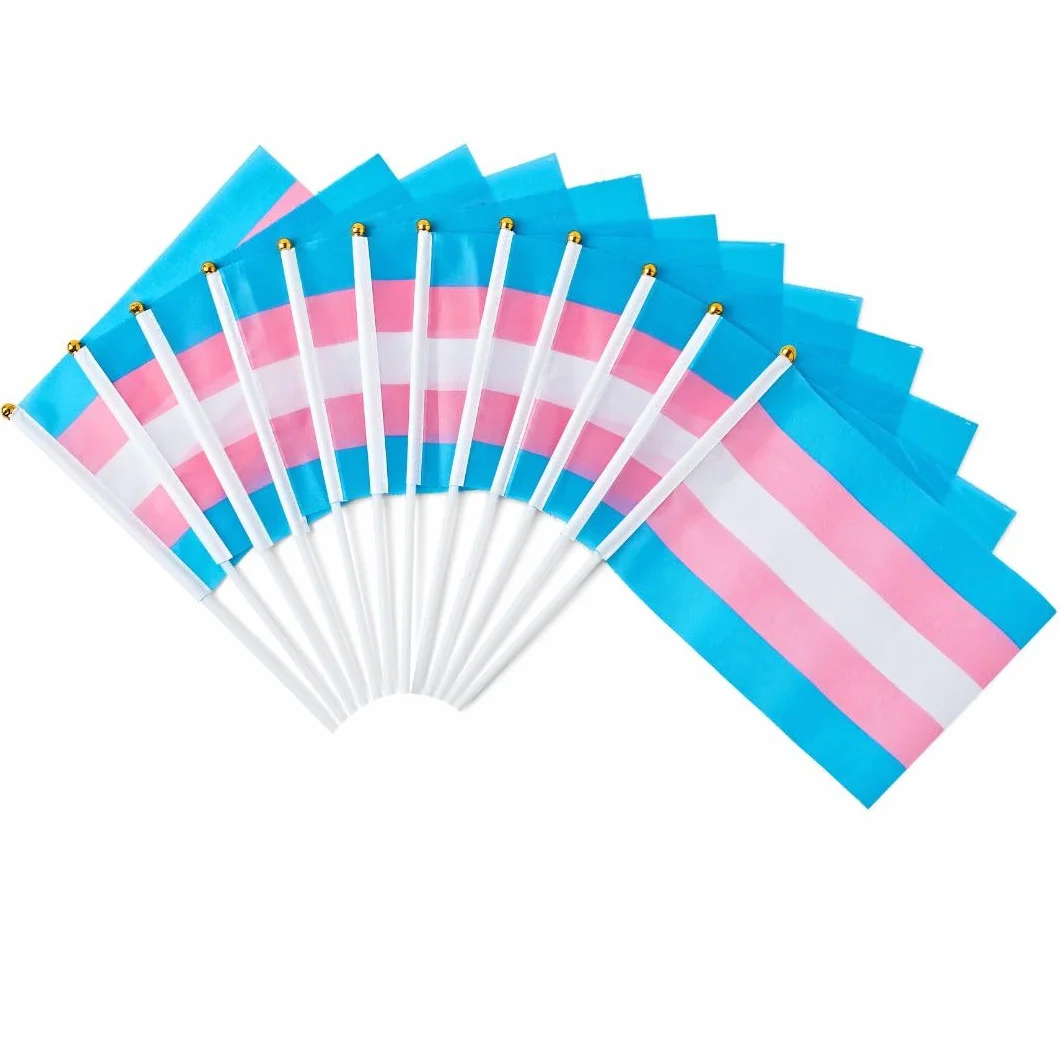 Runesol 12 sztuk ręcznych flag transpłciowych, 14 cm x 21 cm, mini flagi LGBTQ, małe flagi na patykach, dekoracje imprezowe LGBT na patyku, LGBTQ+, wydarzenia, uroczystości, dekoracje dumy trans