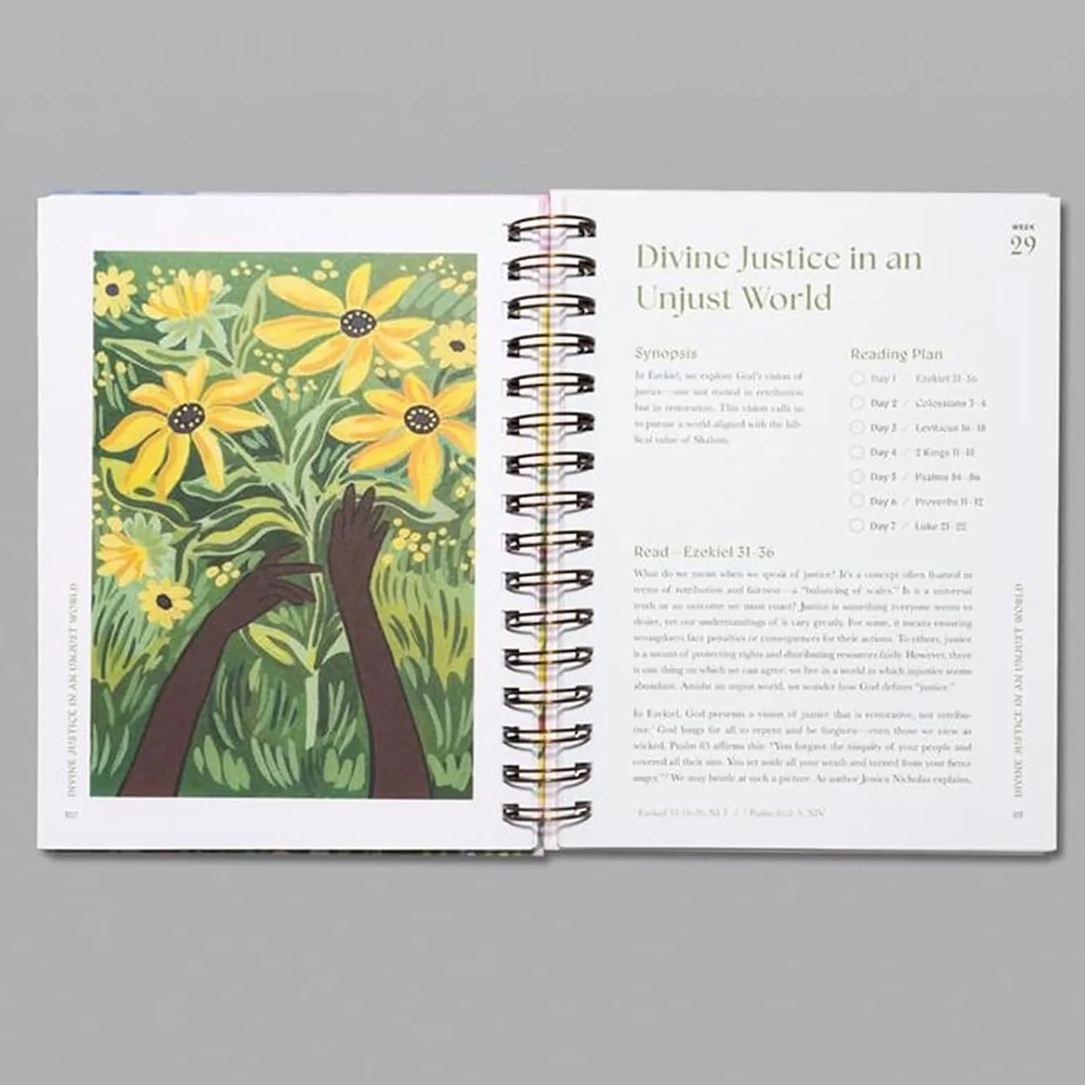 Piękny rok w Biblii dla kobiet spiralna Biblia dla kobiet 52-tygodniowe studium biblijne dla kobiet studium biblijne dla kobiet rok w Biblii Kobiety Spiral Bound Biblia Study Guide Rok w Biblii