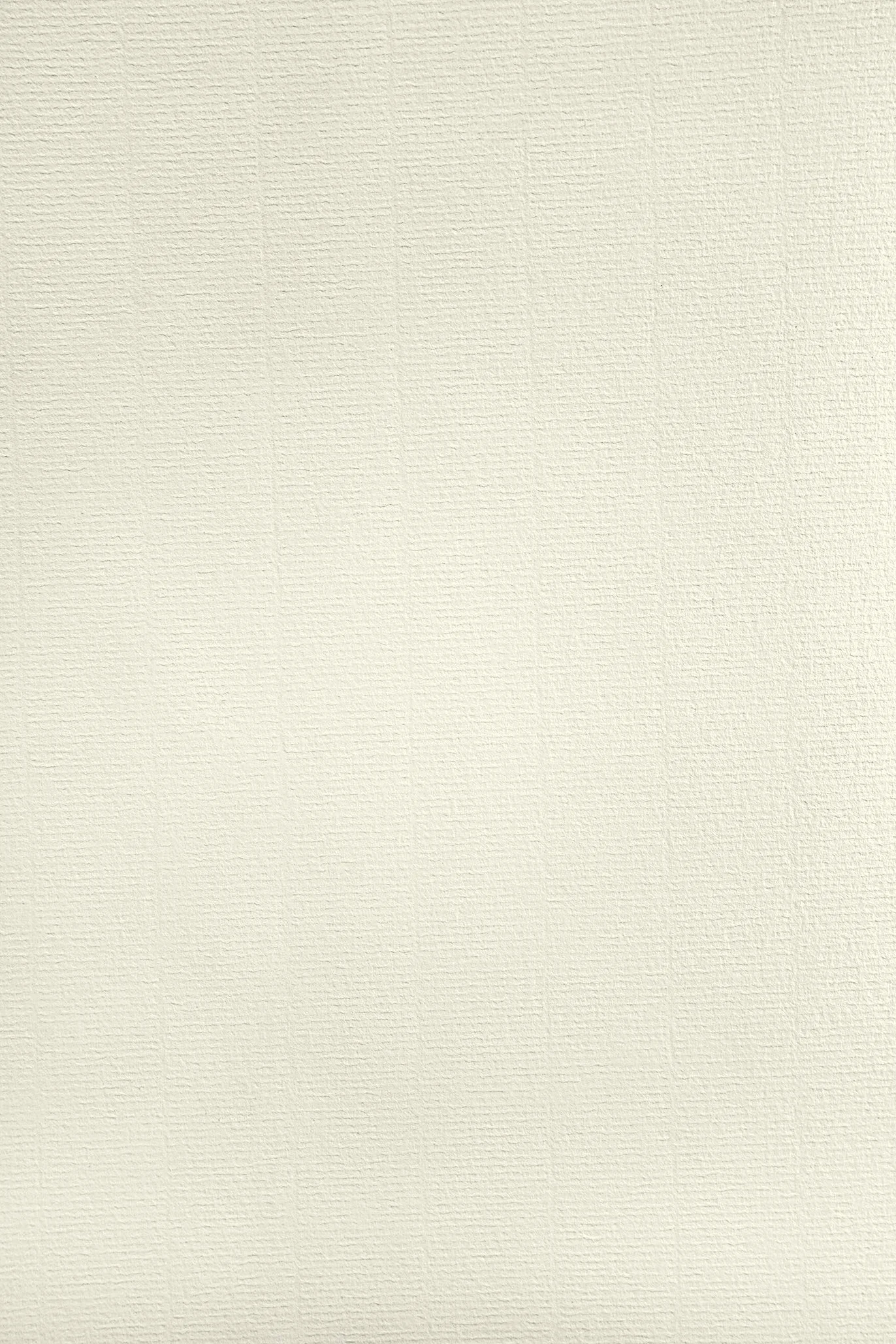Netuno 50 x papier żebrowany w kolorze kości słoniowej A4, 297 x 210 mm, 120 g, Aster Laid Ivory papier teksturowany, elegancki karton prążkowany, karton z wzorem, do majsterkowania, kartki