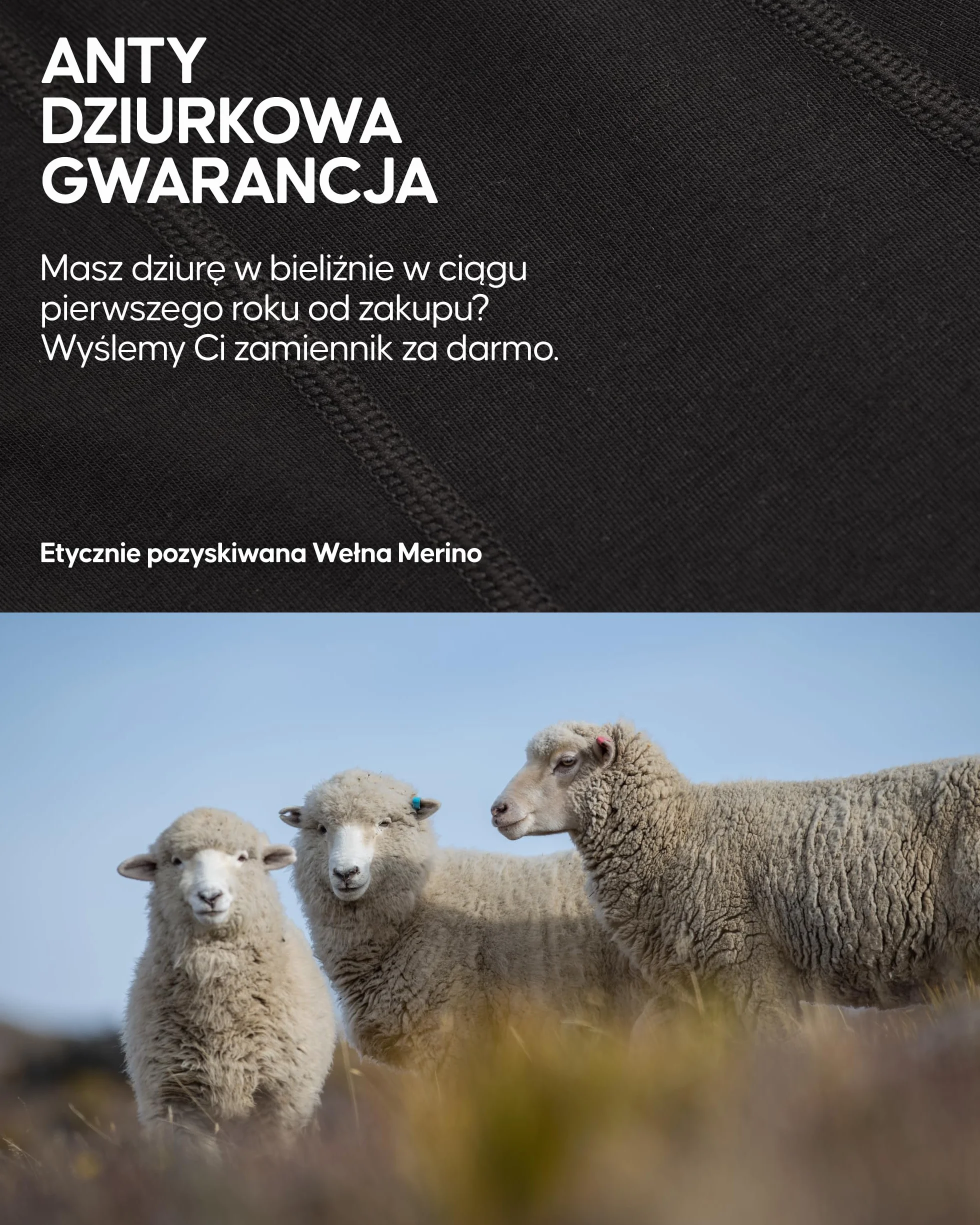 DANISH ENDURANCE Bokserki z Wełny Merino, Odprowadzające Pot Bokserki, Oddychająca Bielizna Męska, Lekkie, 1-Pak