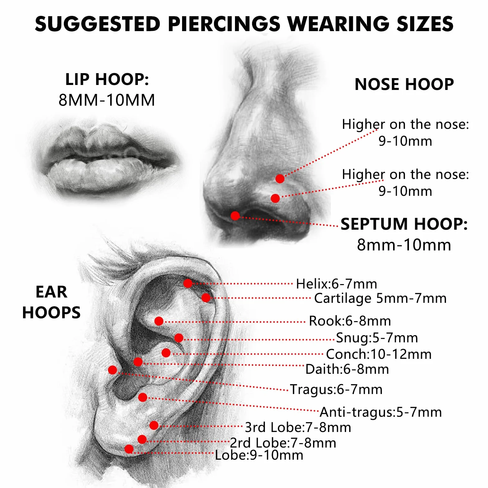 G23 Kolczyk do piercingu z tytanu, Helix złoty, srebrny, obręcz, przegroda nosowa, Rook, Tragus, Daith, zawiasowy segment, klikier 16G 8MM 10MM 12MM, kolczyk do nosa, podwójne kółka, Helix