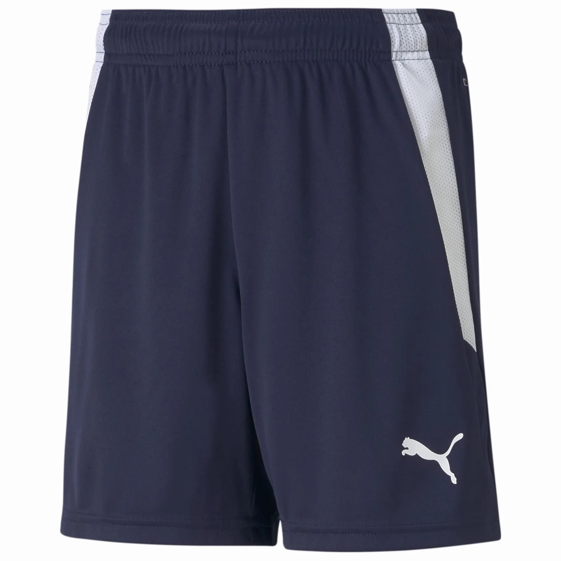 PUMA Teamliga Shorts Junior - Spodenki Uniseks