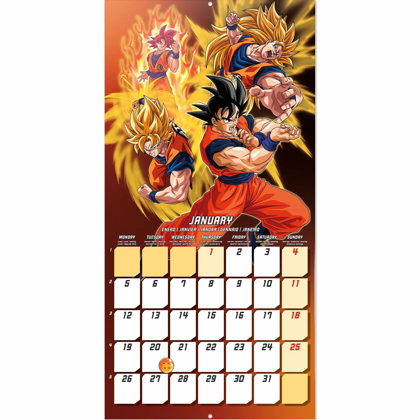 Grupo Erik Wall Calendar 2026 - Dragon Ball Calendar 2026 | Square 30 x 30 cm - 12 x 12 inches Wall Planner, Family Planner Month To View | Dragon Ball Manga, Anime Gifts For Friends