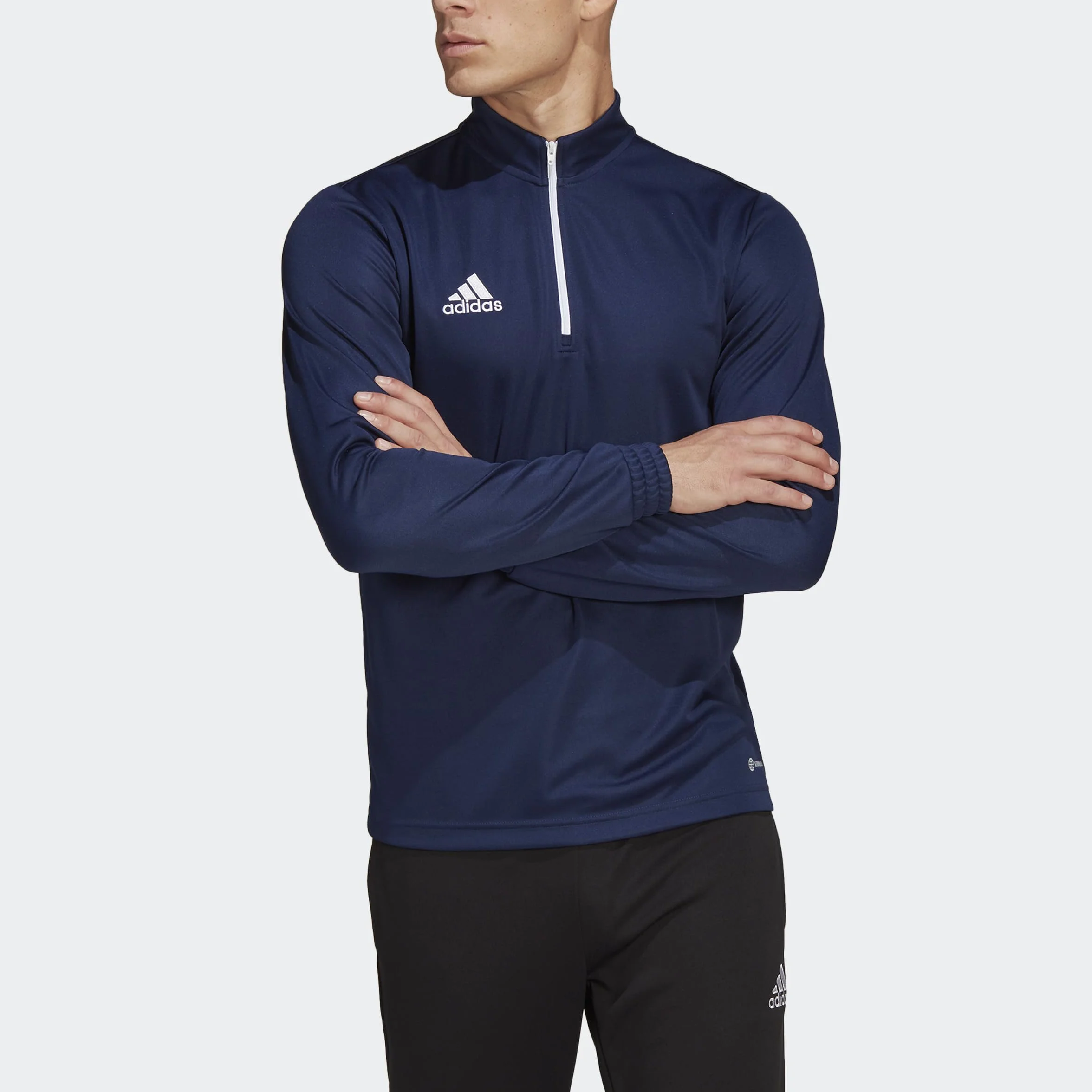 adidas Bluza (długi rękaw) Mężczyźni Entrada 22 Training Top